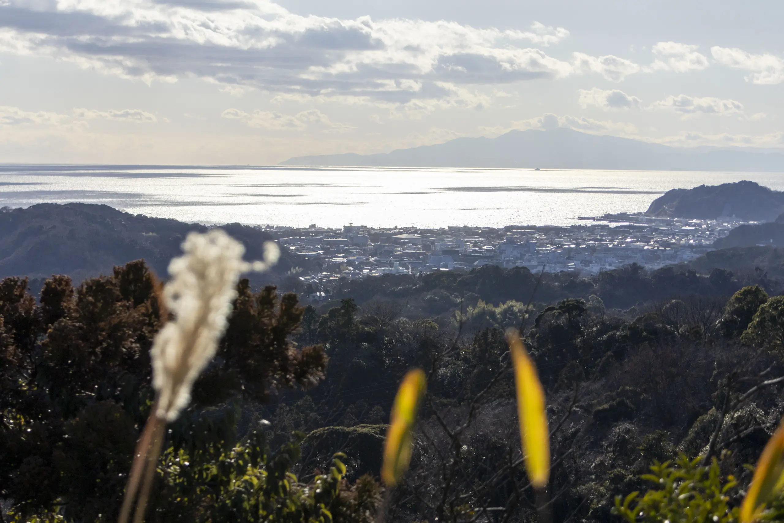大船駅→いろいろ→金沢文庫