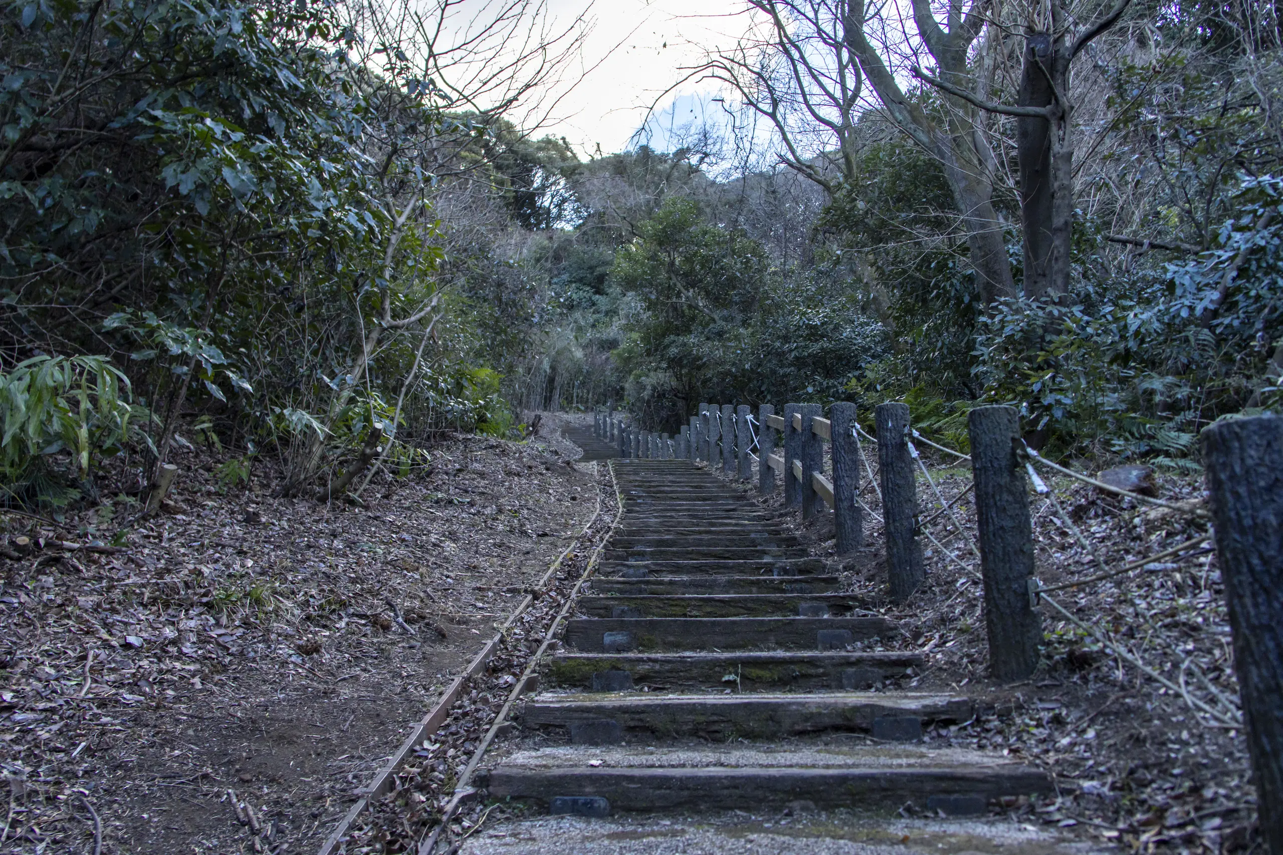 大船駅→いろいろ→金沢文庫 No.64