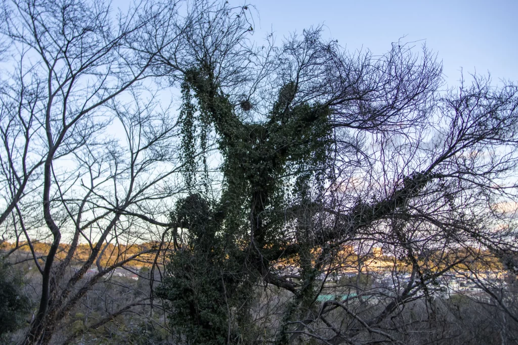 大船駅→いろいろ→金沢文庫