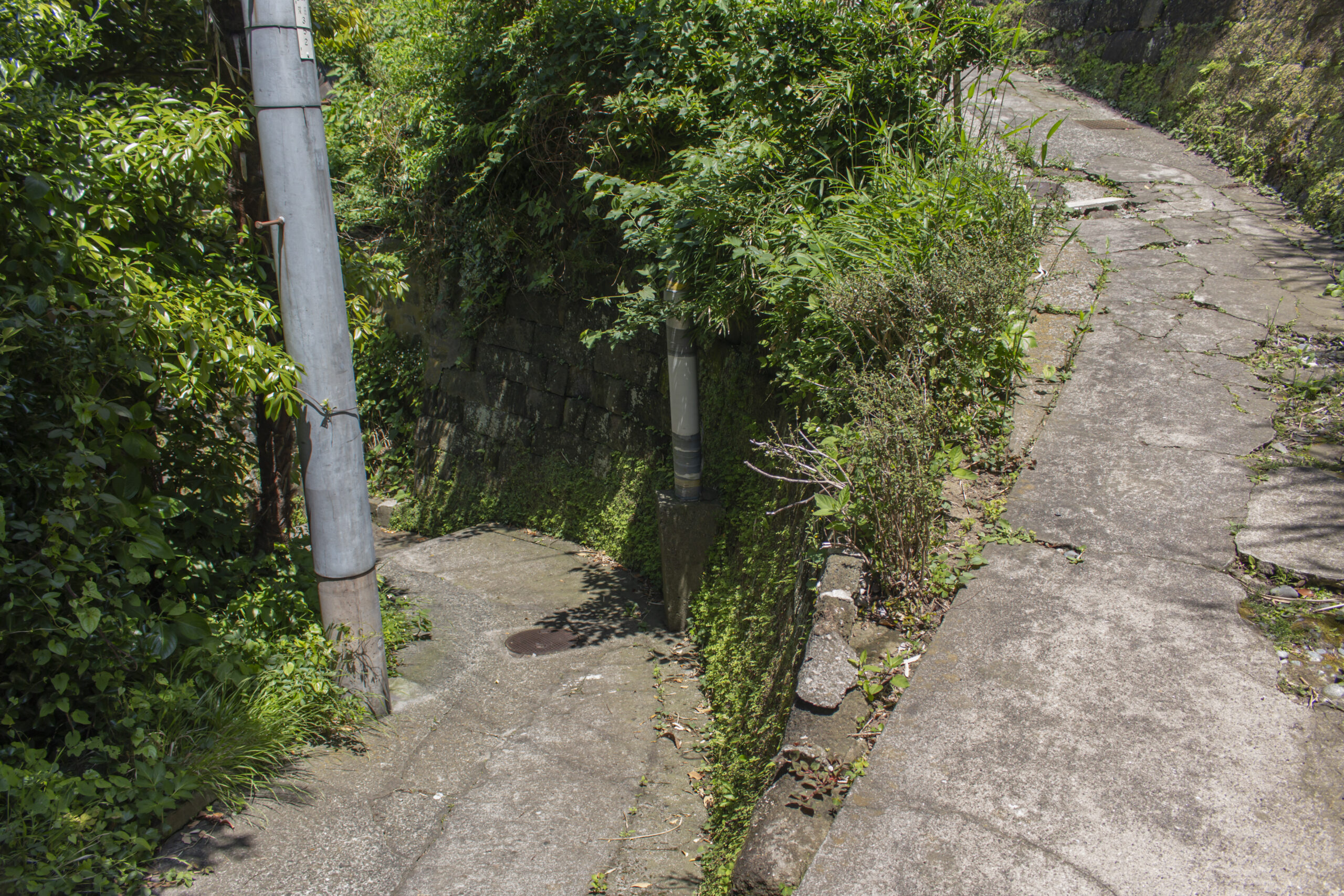 横須賀中央→平和中央公園→うみかぜ公園→馬堀海岸 No.5