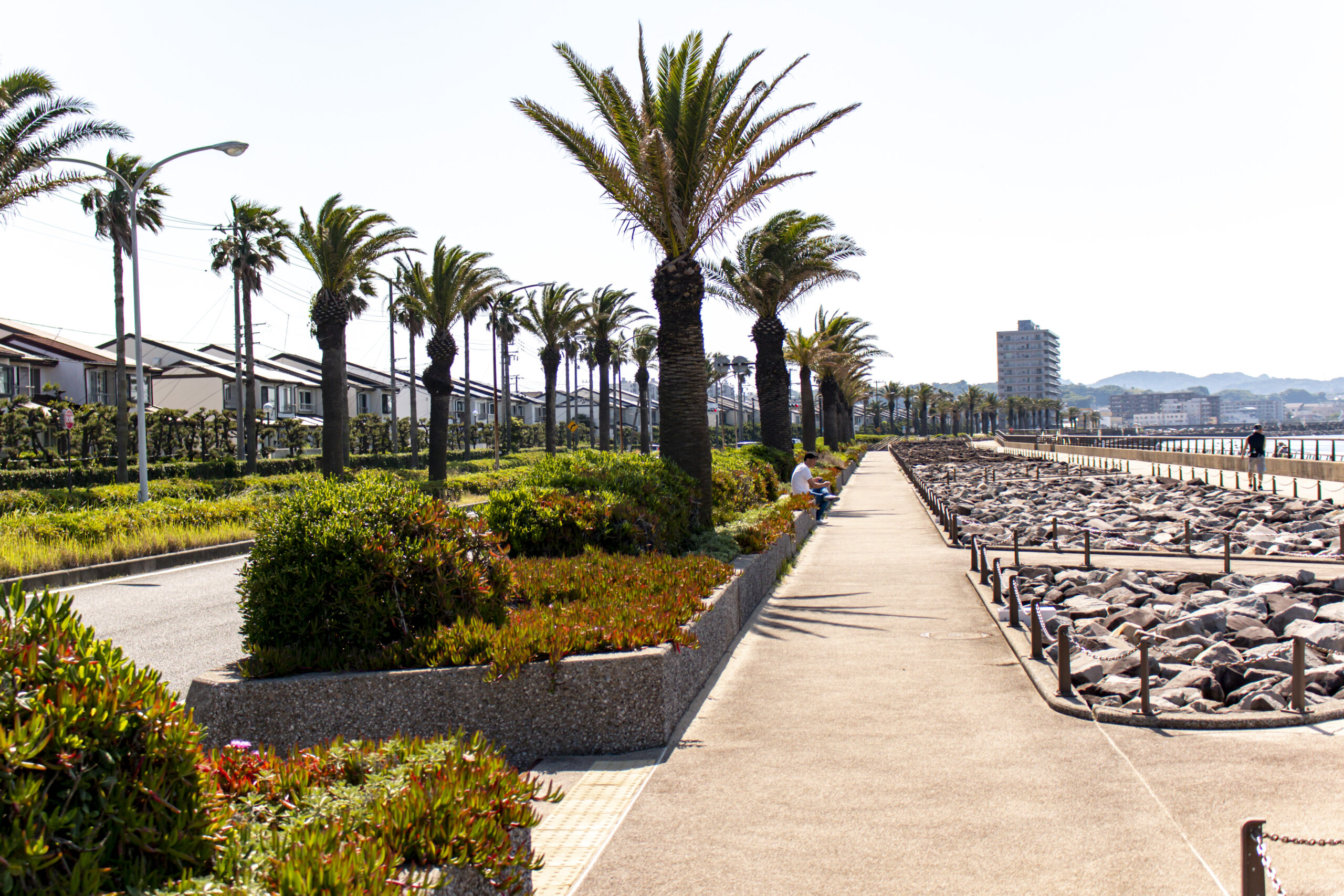 横須賀中央→平和中央公園→うみかぜ公園→馬堀海岸