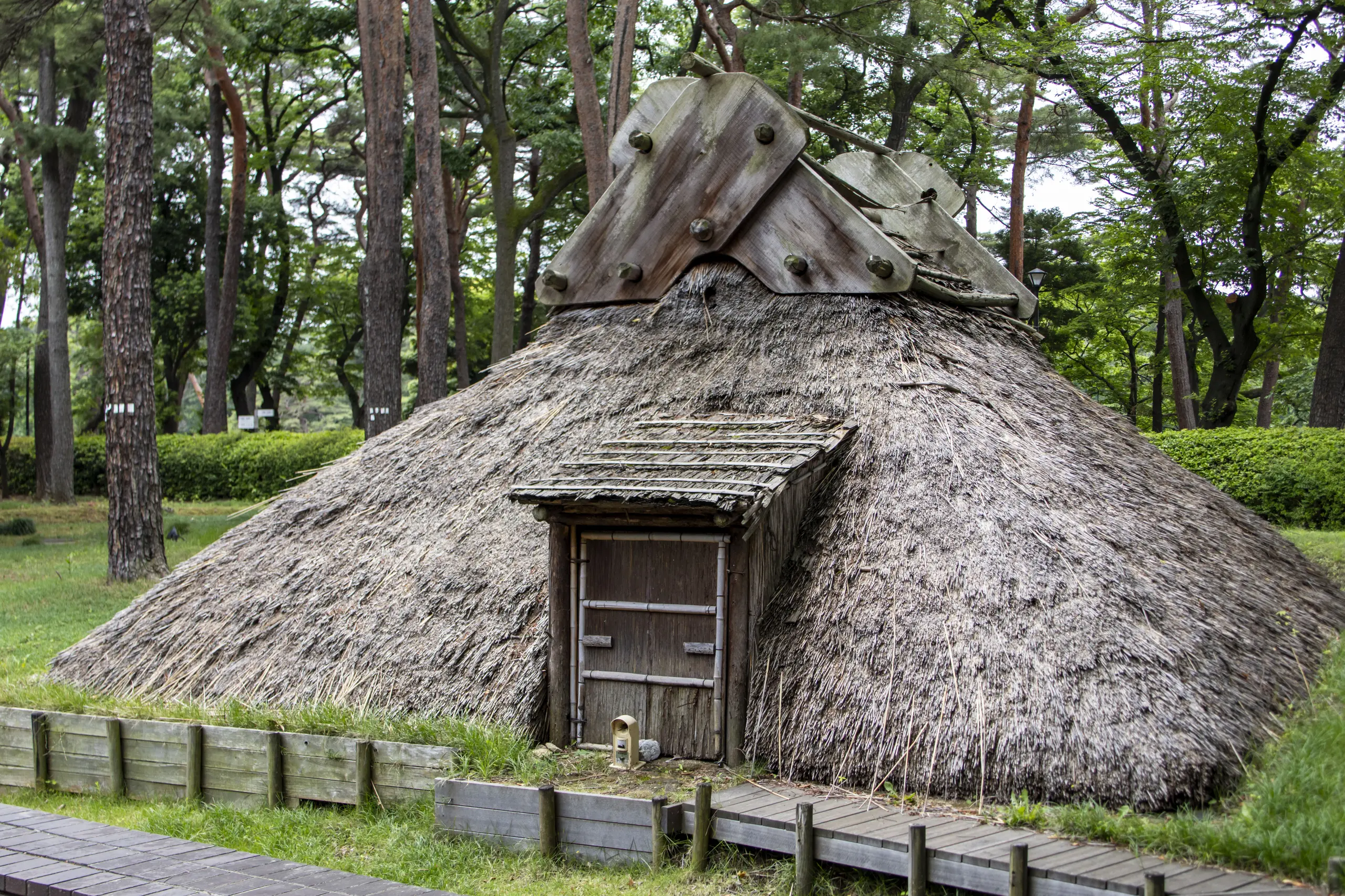 大宮駅→大宮公園→氷川神社→合併記念見沼公園→コクーンシティ No.12