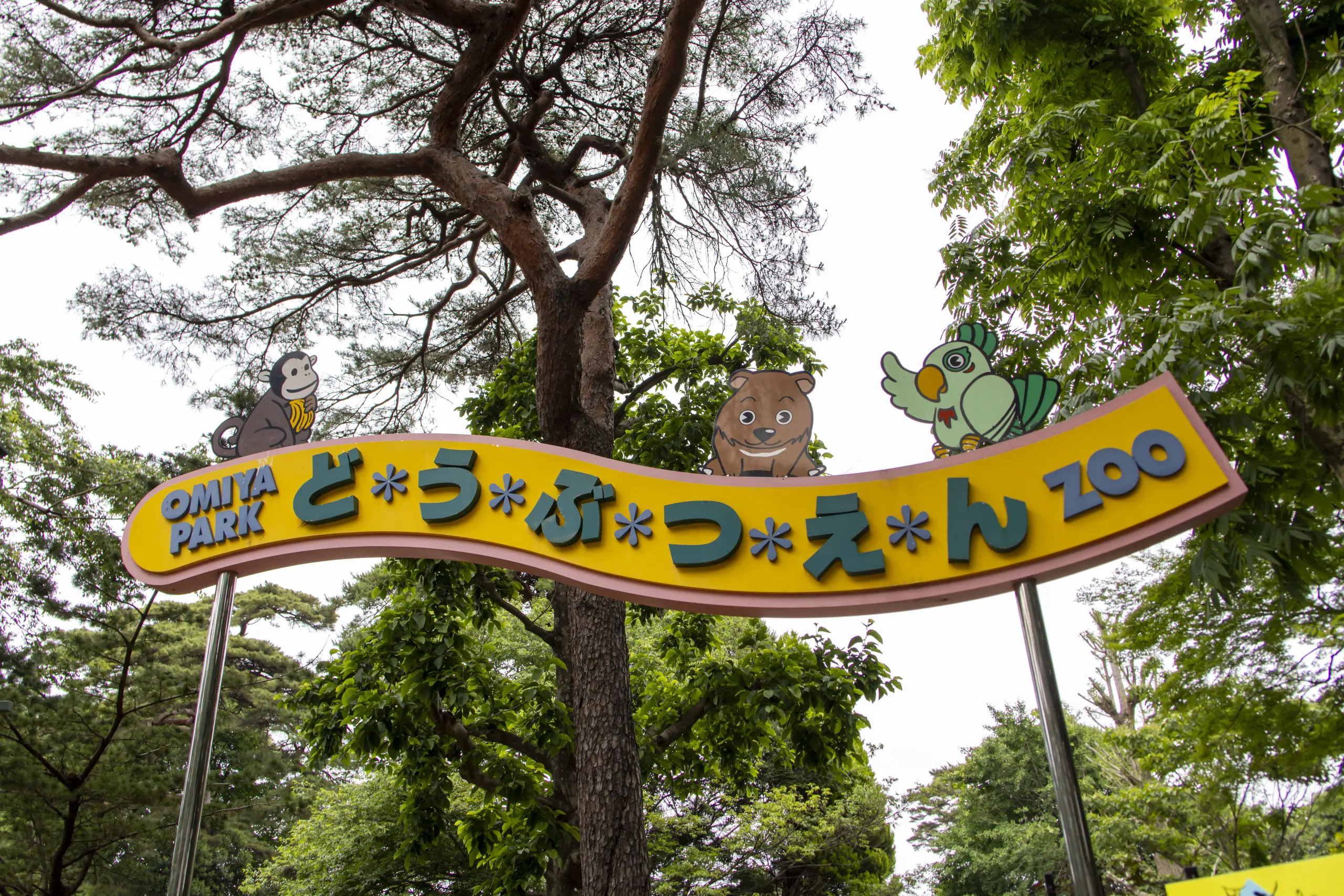 無料！動物園w
