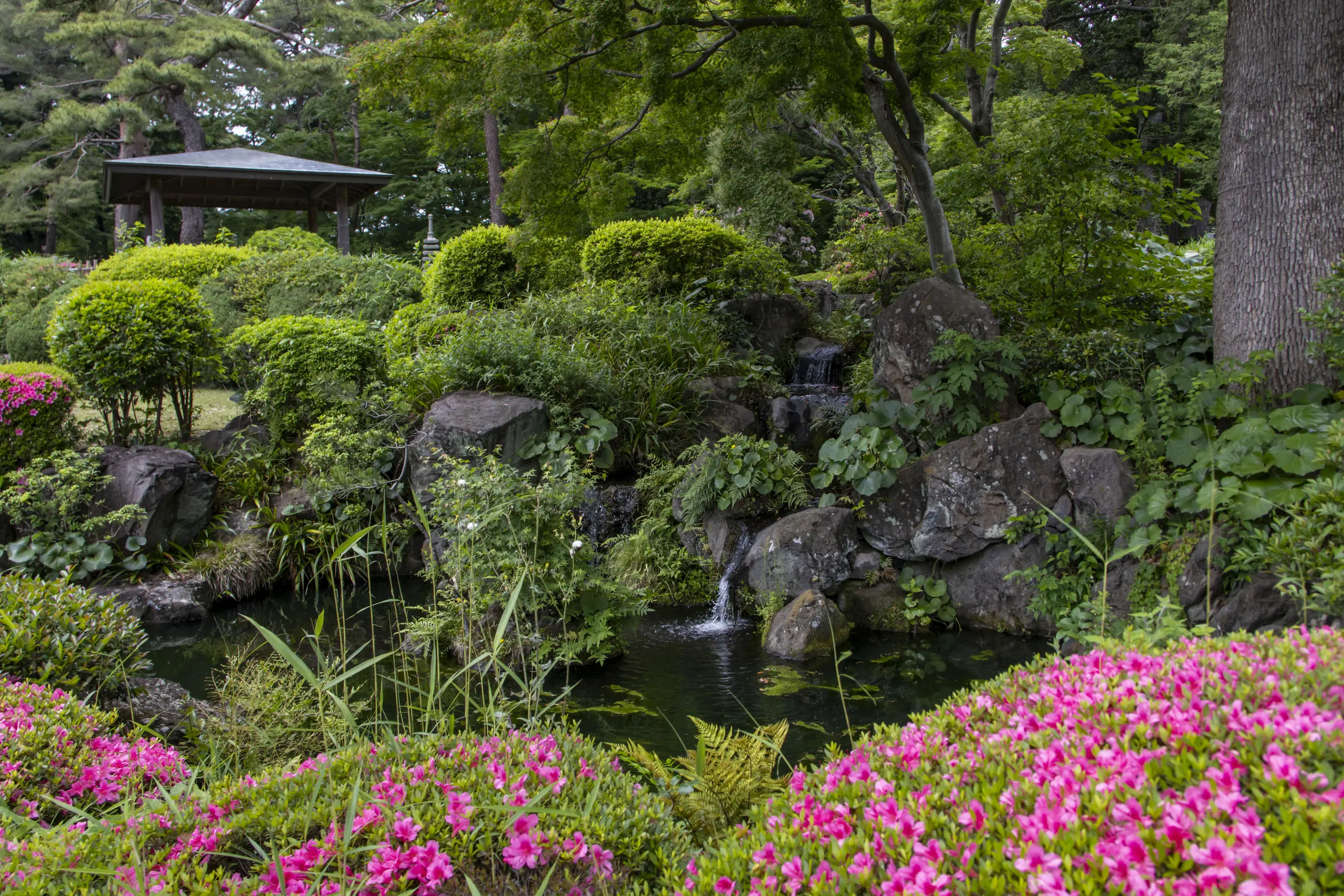 日本庭園。