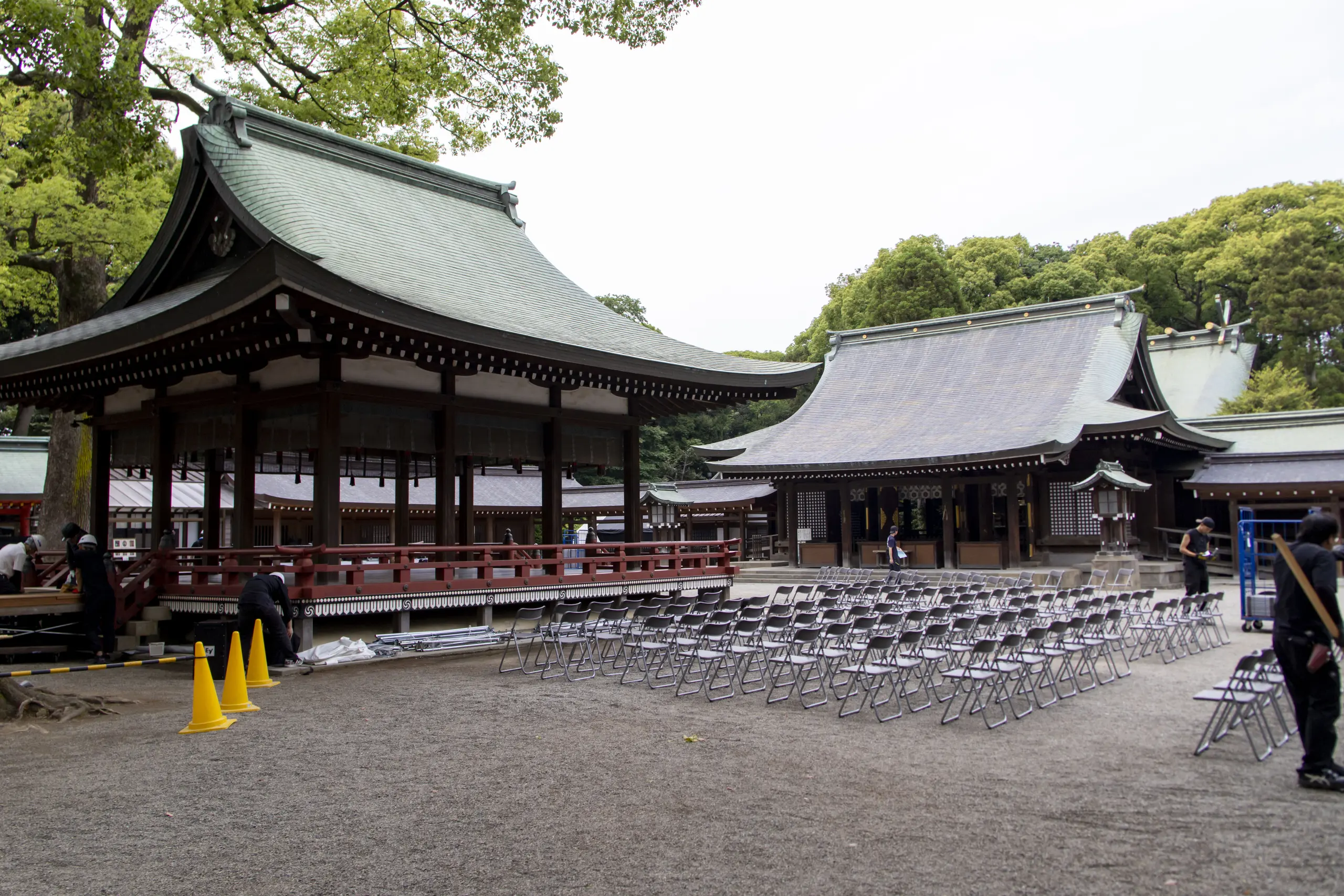 氷川神社。裏から入ったので鳥居は後