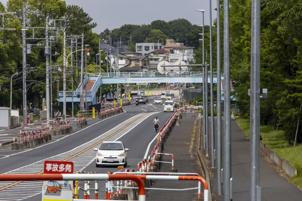 大宮駅→大宮公園→氷川神社→合併記念見沼公園→コクーンシティ