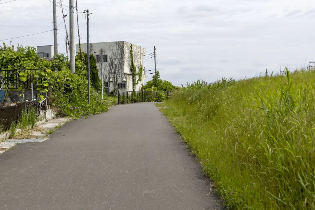 大宮駅→大宮公園→氷川神社→合併記念見沼公園→コクーンシティ
