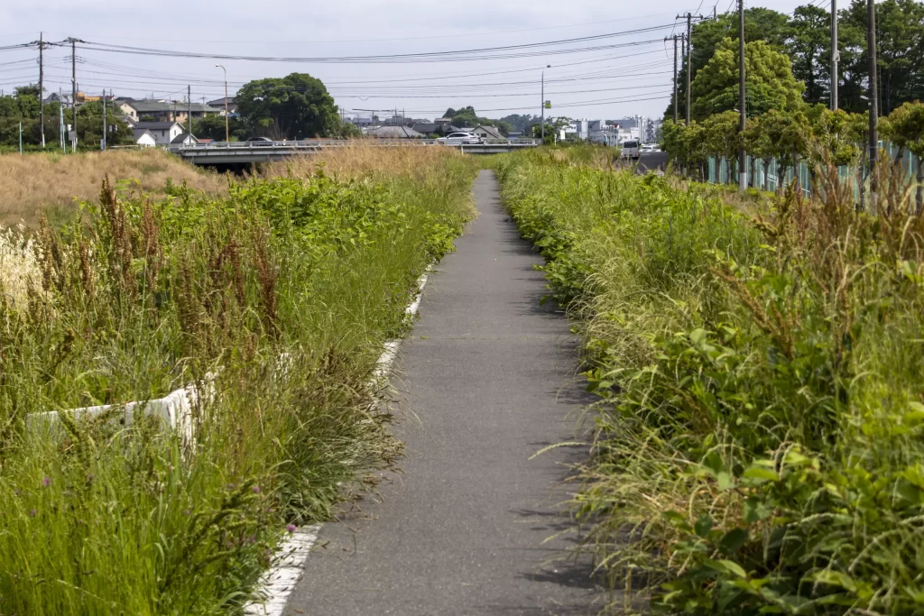 大宮駅→大宮公園→氷川神社→合併記念見沼公園→コクーンシティ