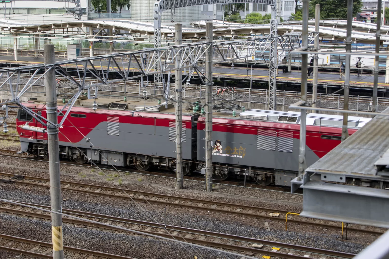 大宮駅→大宮公園→氷川神社→合併記念見沼公園→コクーンシティ