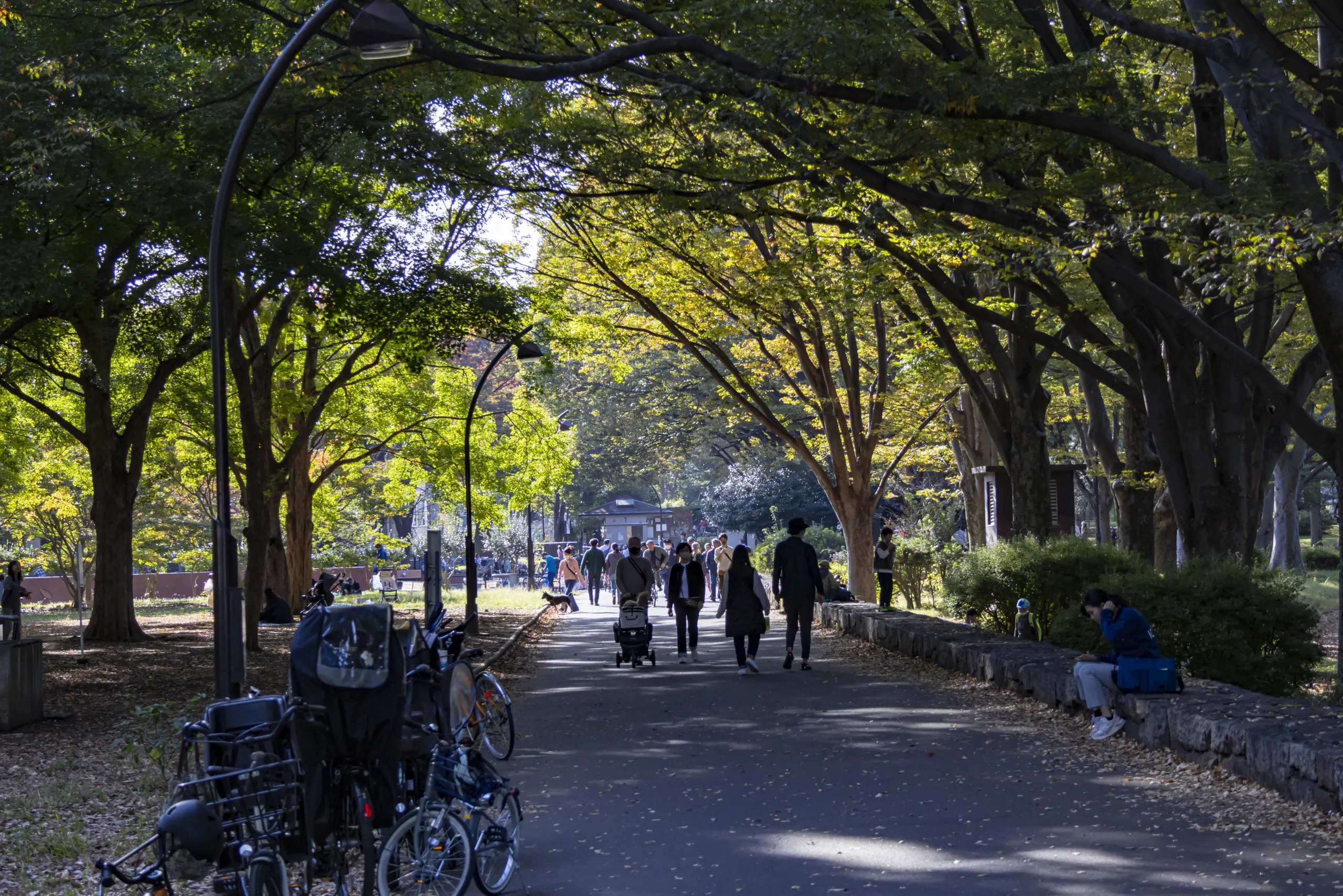 池尻稲荷神社→世田谷公園→三軒茶屋→駒沢オリンピック公園