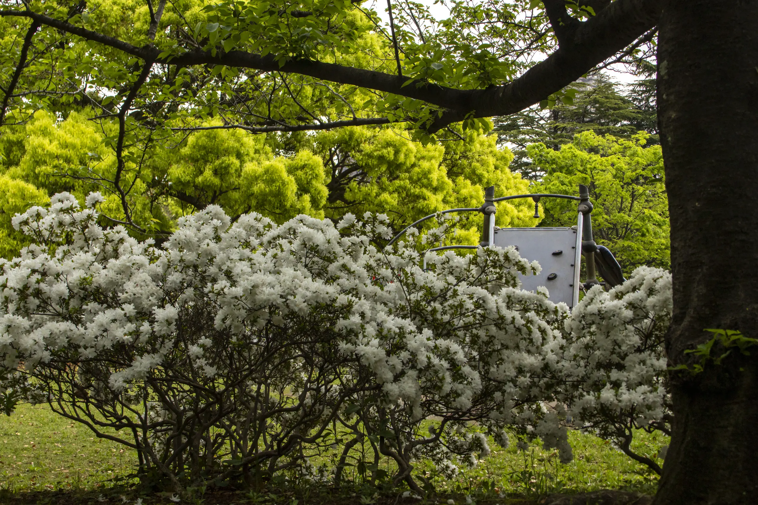 猿江恩賜公園