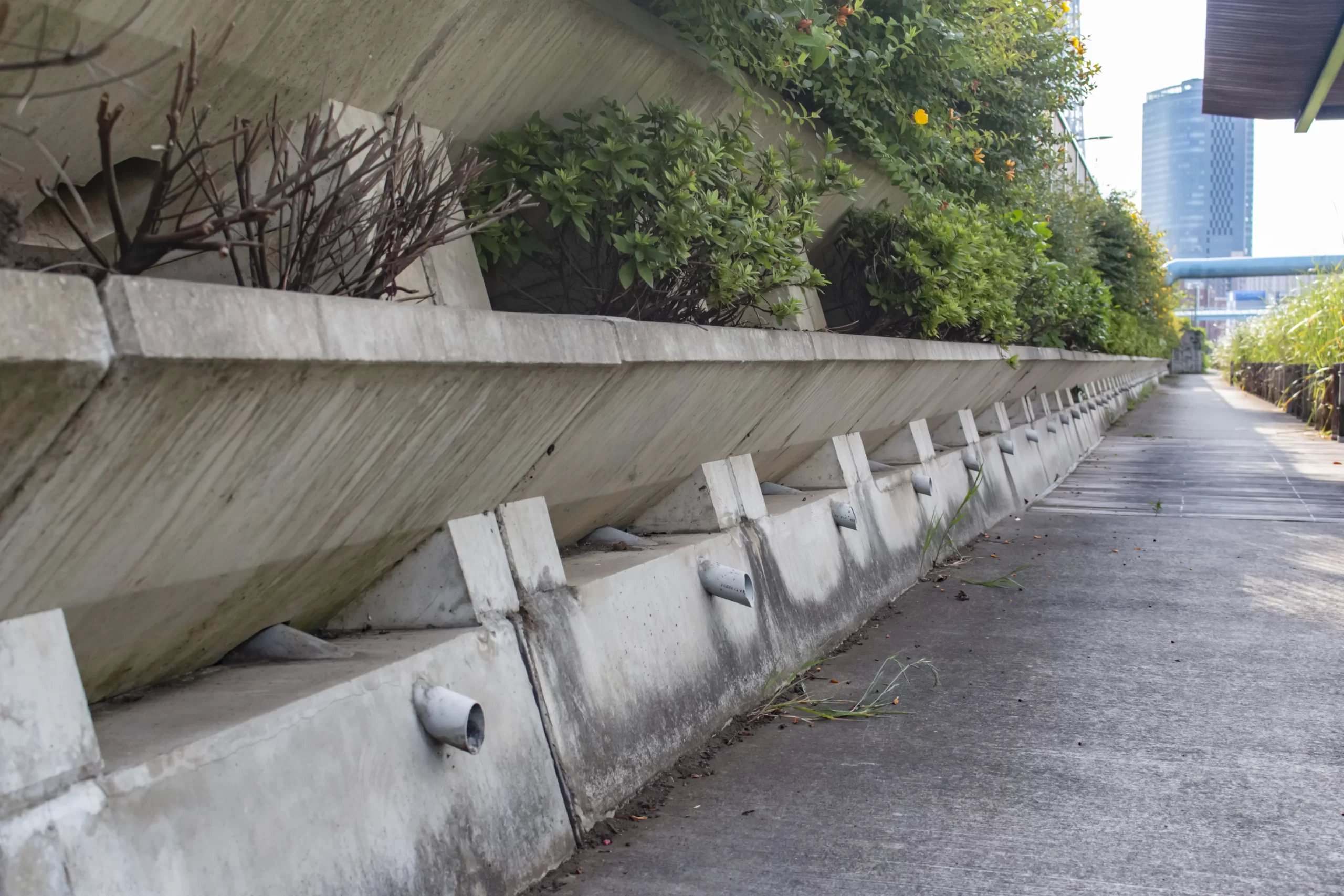 スカイツリー旧中川→荒川→立石→青砥