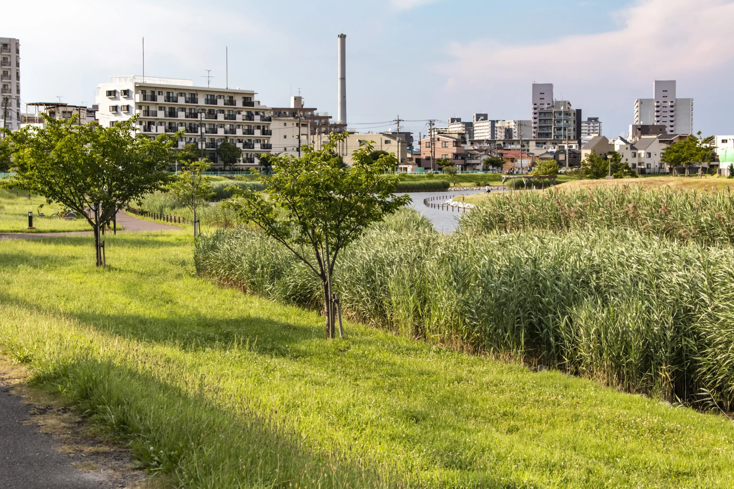 スカイツリー旧中川→荒川→立石→青砥 No.12