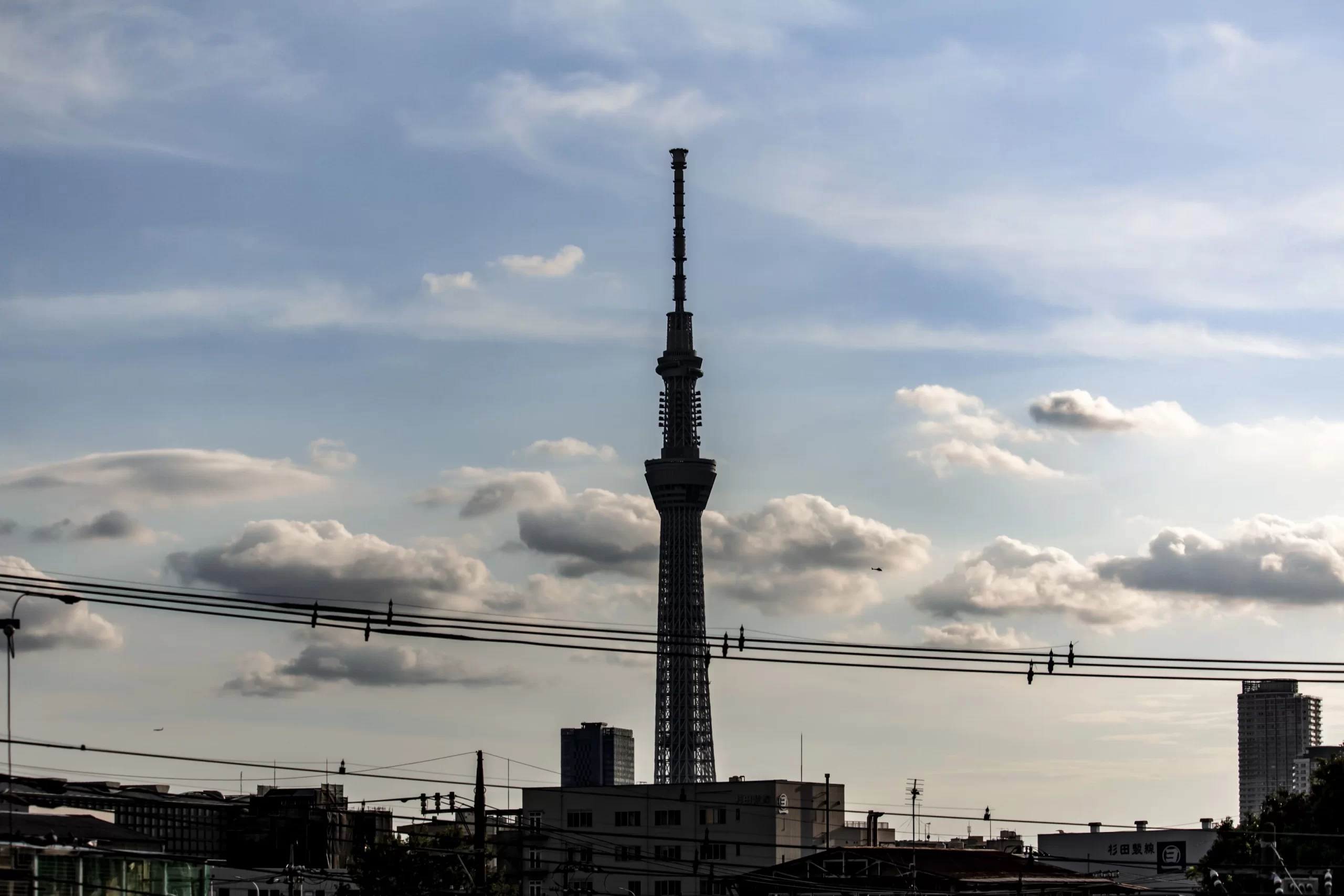 スカイツリー旧中川→荒川→立石→青砥 No.22