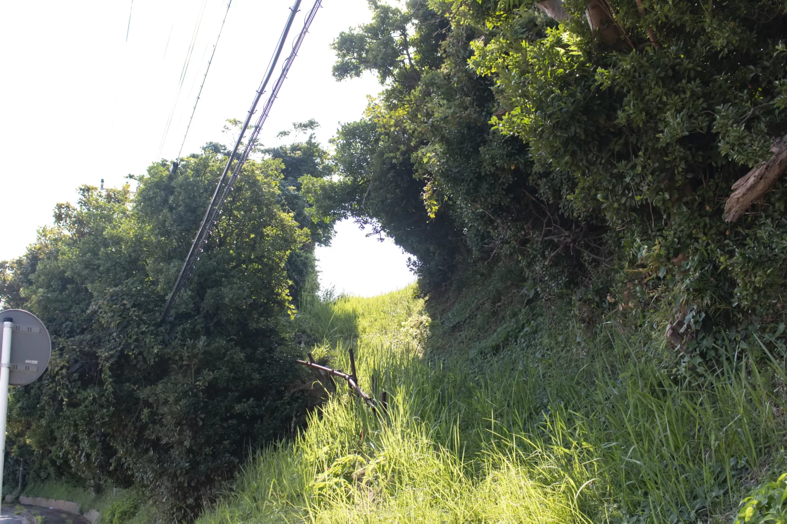 三崎口→黒崎海岸→黒崎の鼻