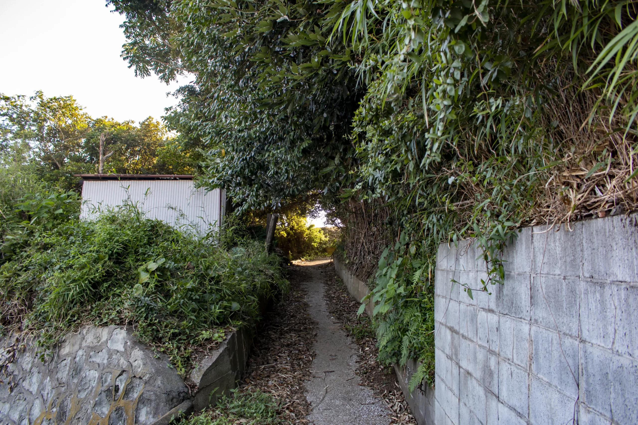 三崎口→黒崎海岸→黒崎の鼻 No.10
