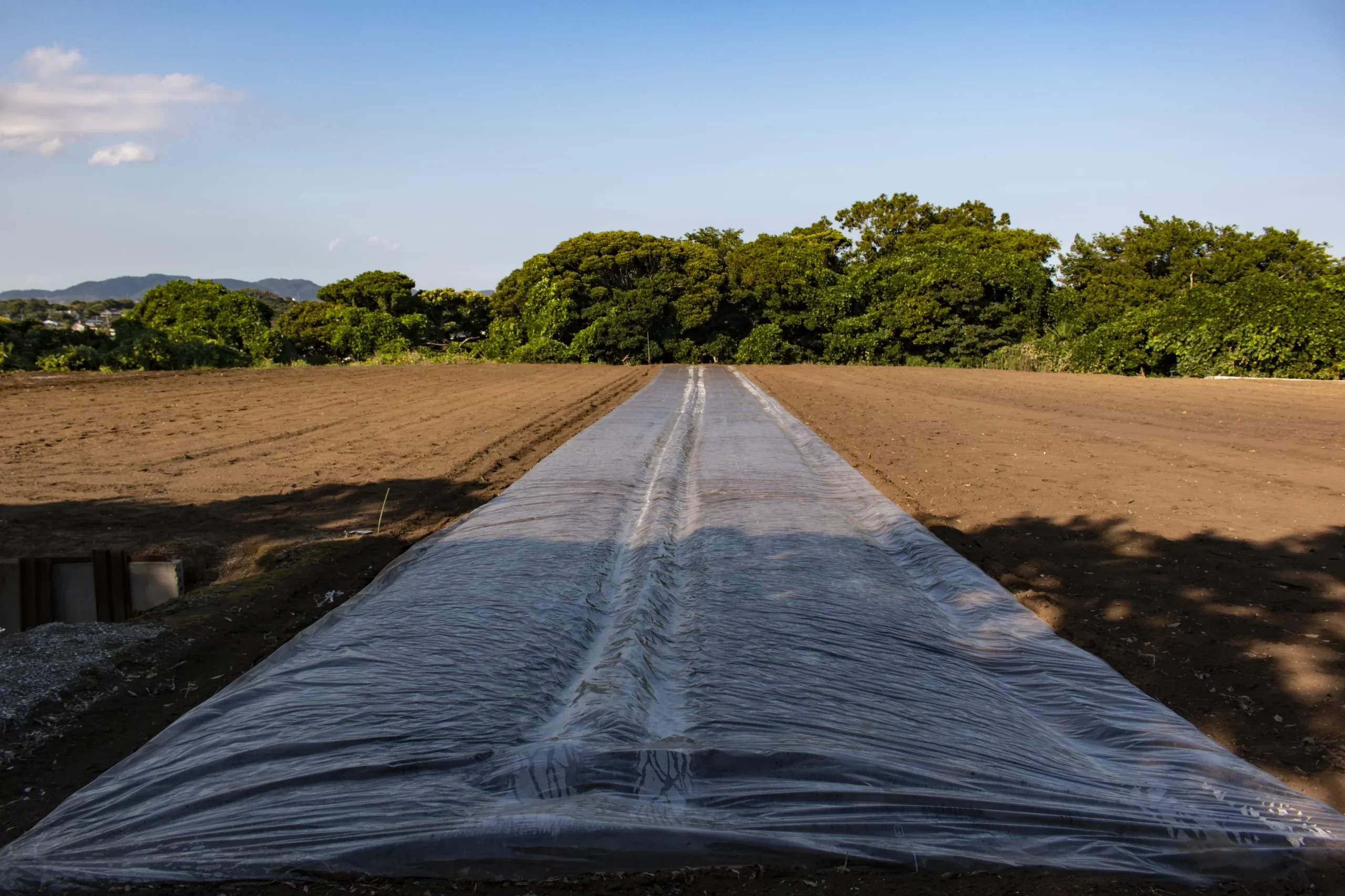 三崎口→黒崎海岸→黒崎の鼻 No.11