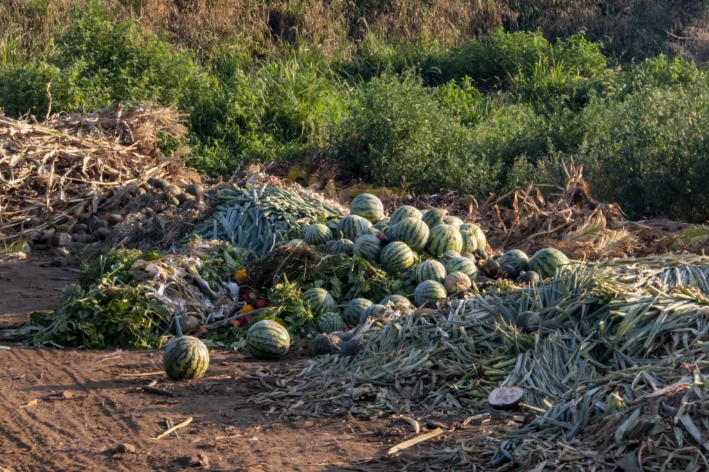 三崎口→黒崎海岸→黒崎の鼻