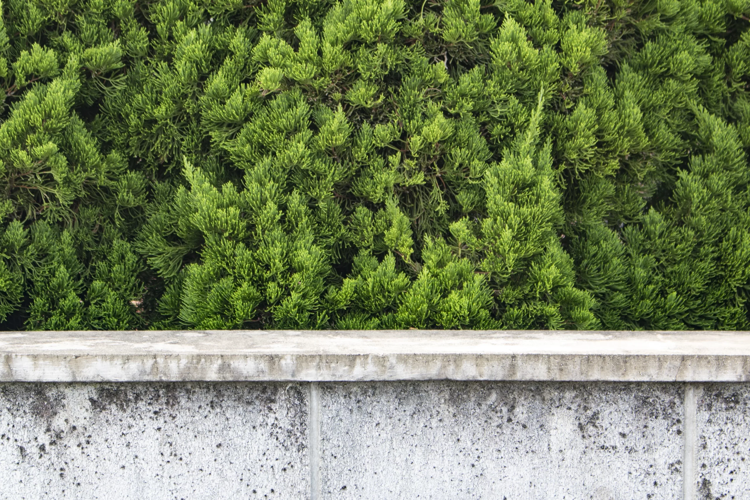 多摩川→池上本門寺→蒲田方面