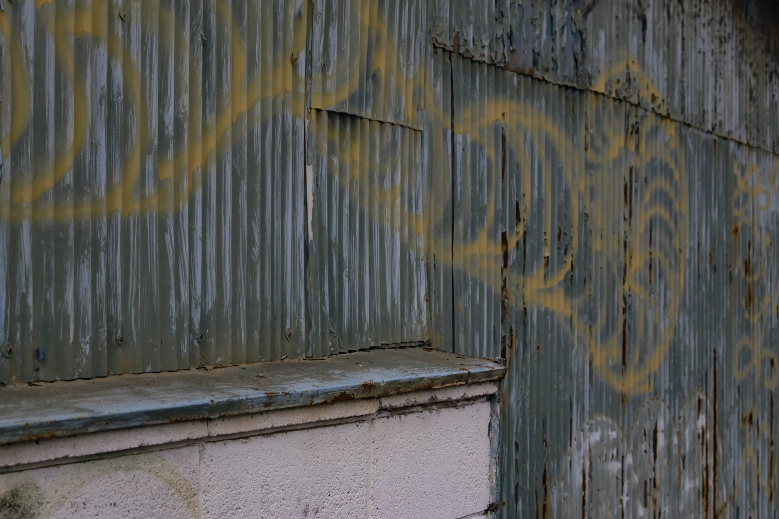 多摩川→池上本門寺→蒲田方面 No.16