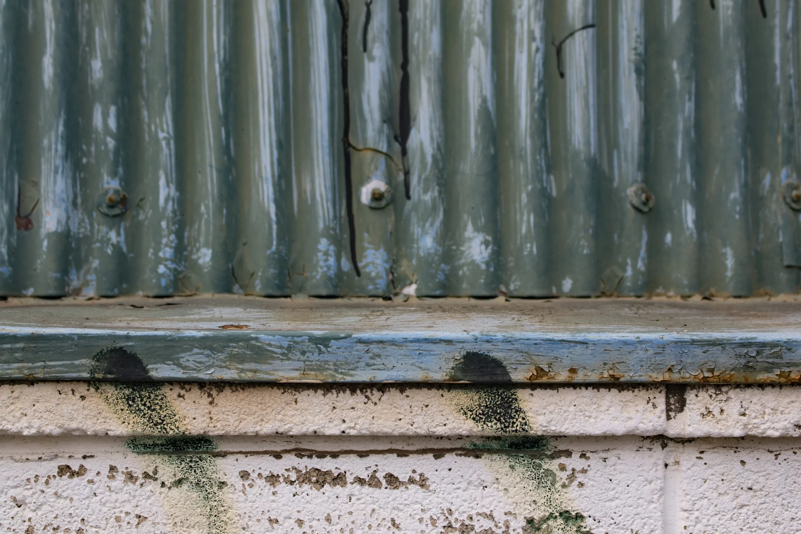 多摩川→池上本門寺→蒲田方面