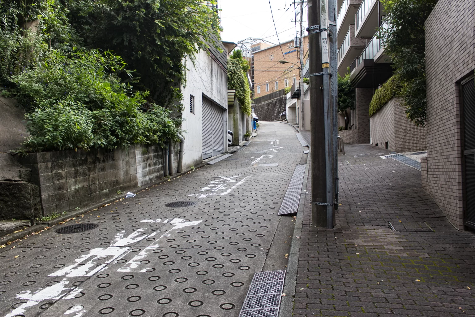 保土ヶ谷→大岡川→野毛→横浜