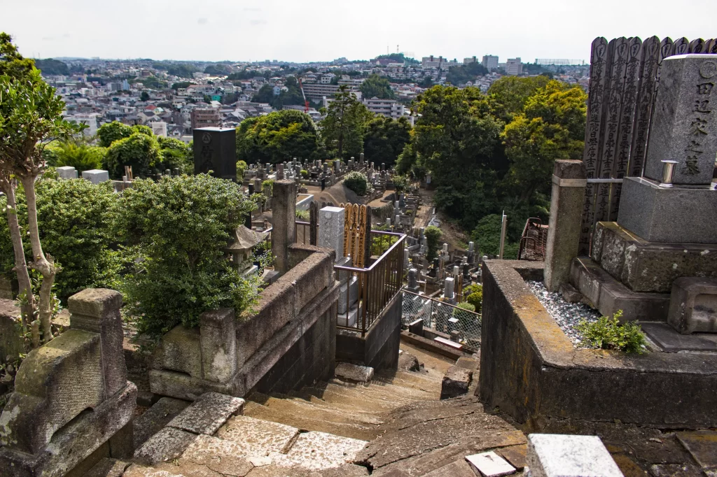 保土ヶ谷→大岡川→野毛→横浜