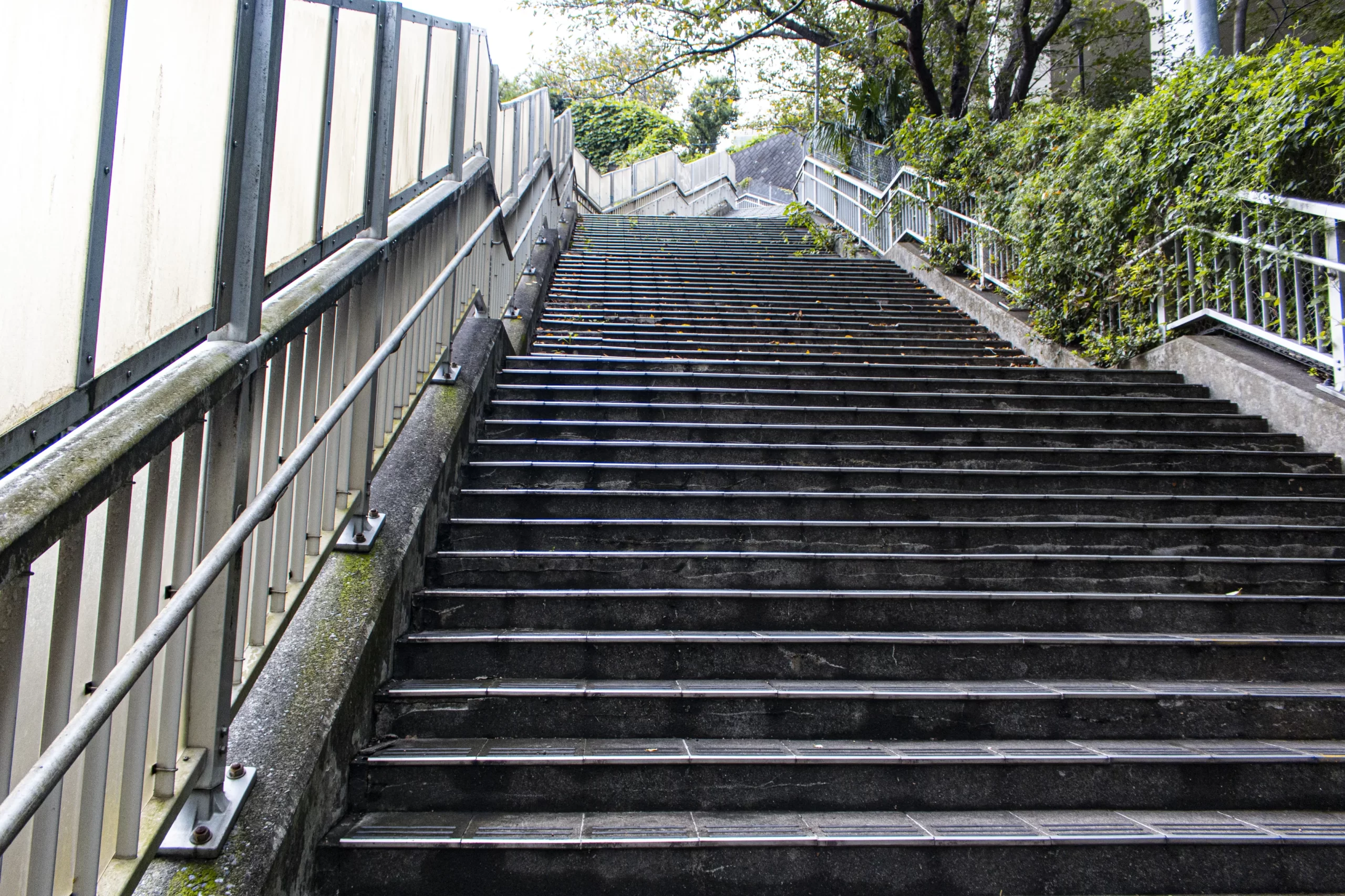 保土ヶ谷→大岡川→野毛→横浜 No.12