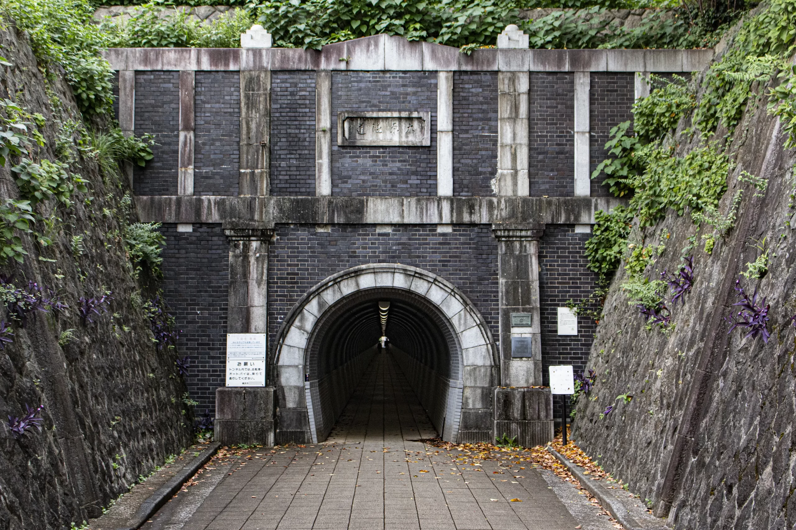 保土ヶ谷→大岡川→野毛→横浜