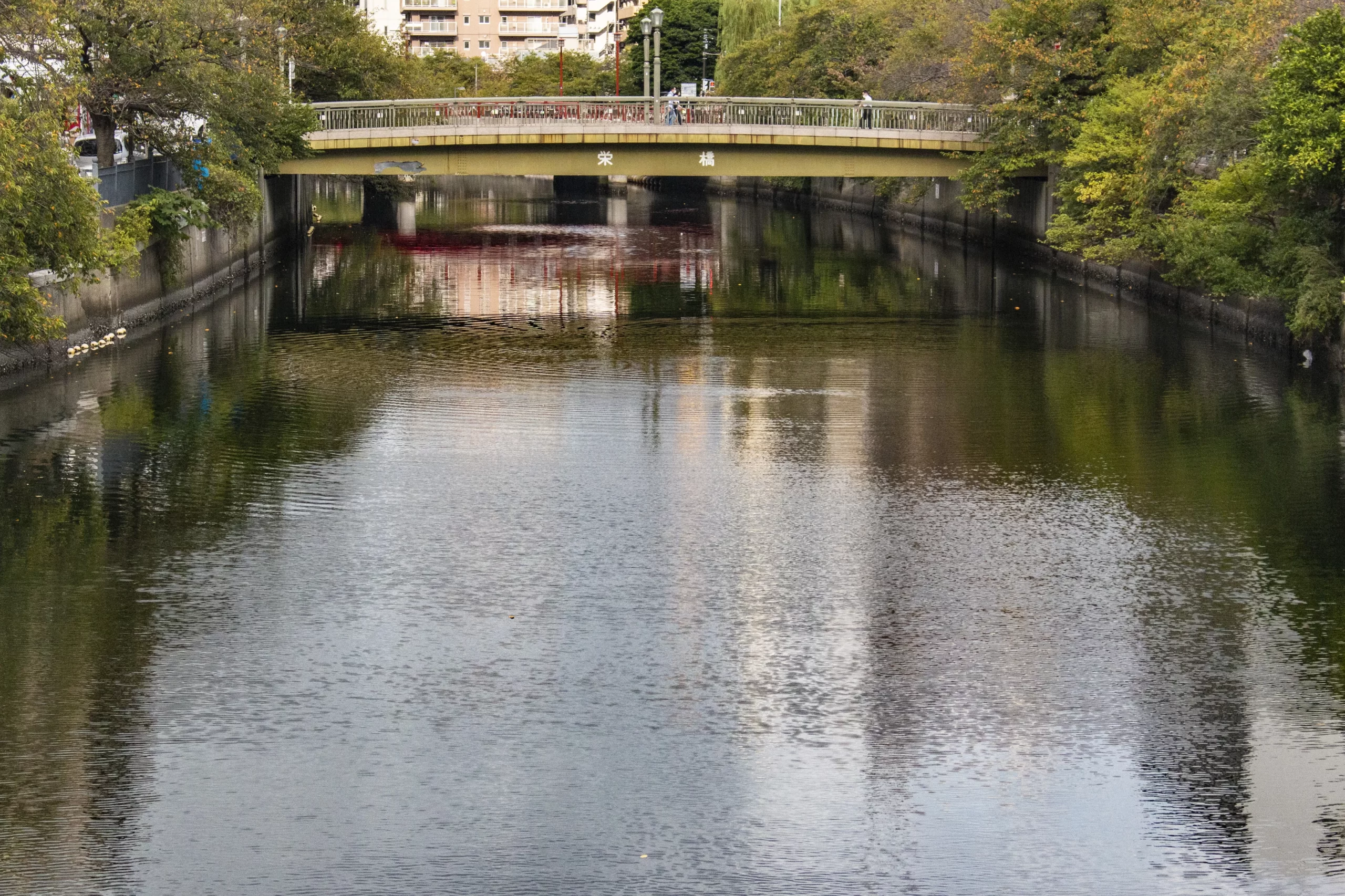 保土ヶ谷→大岡川→野毛→横浜 No.16