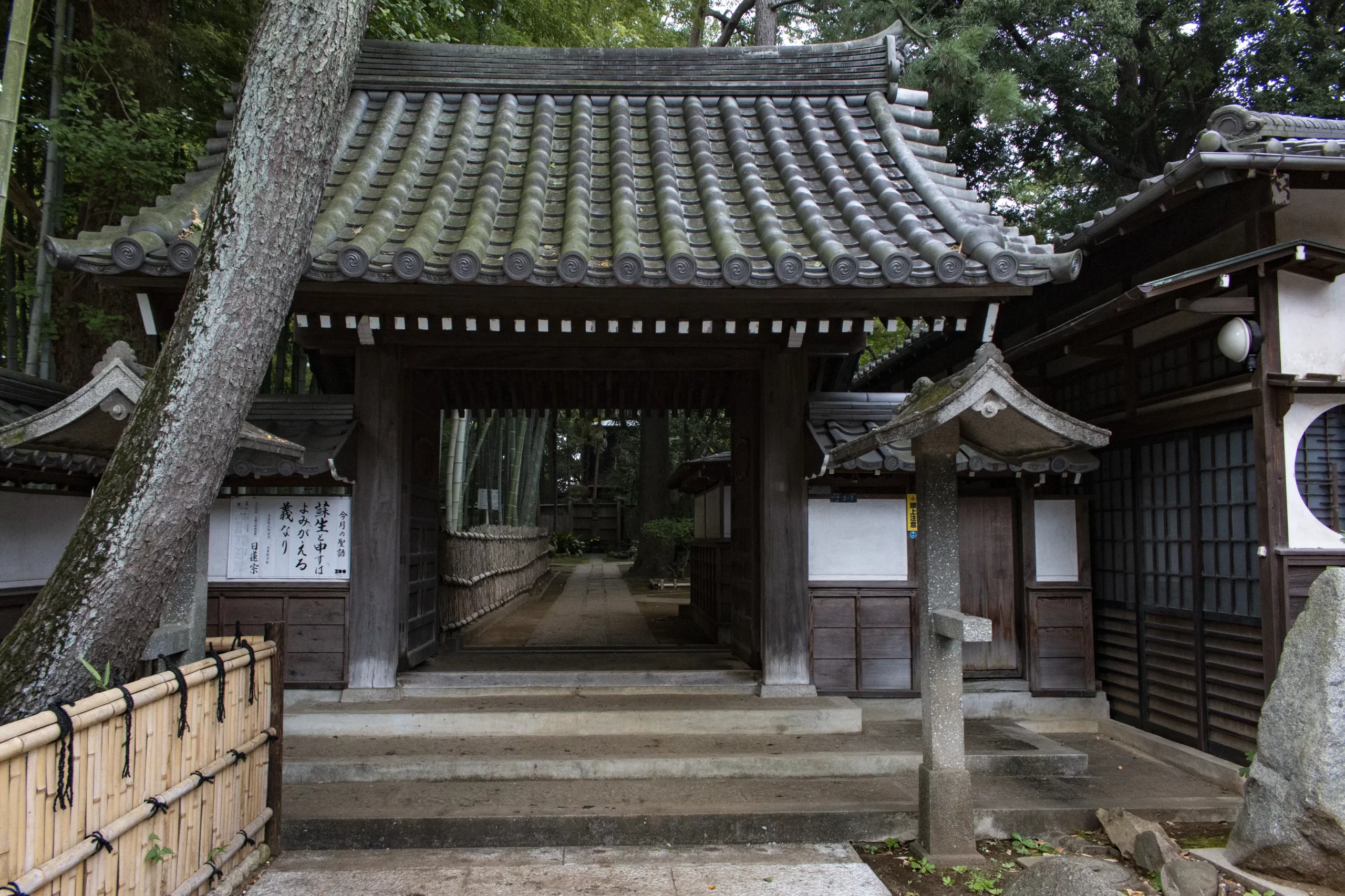 立会川→中延→洗足池 No.9