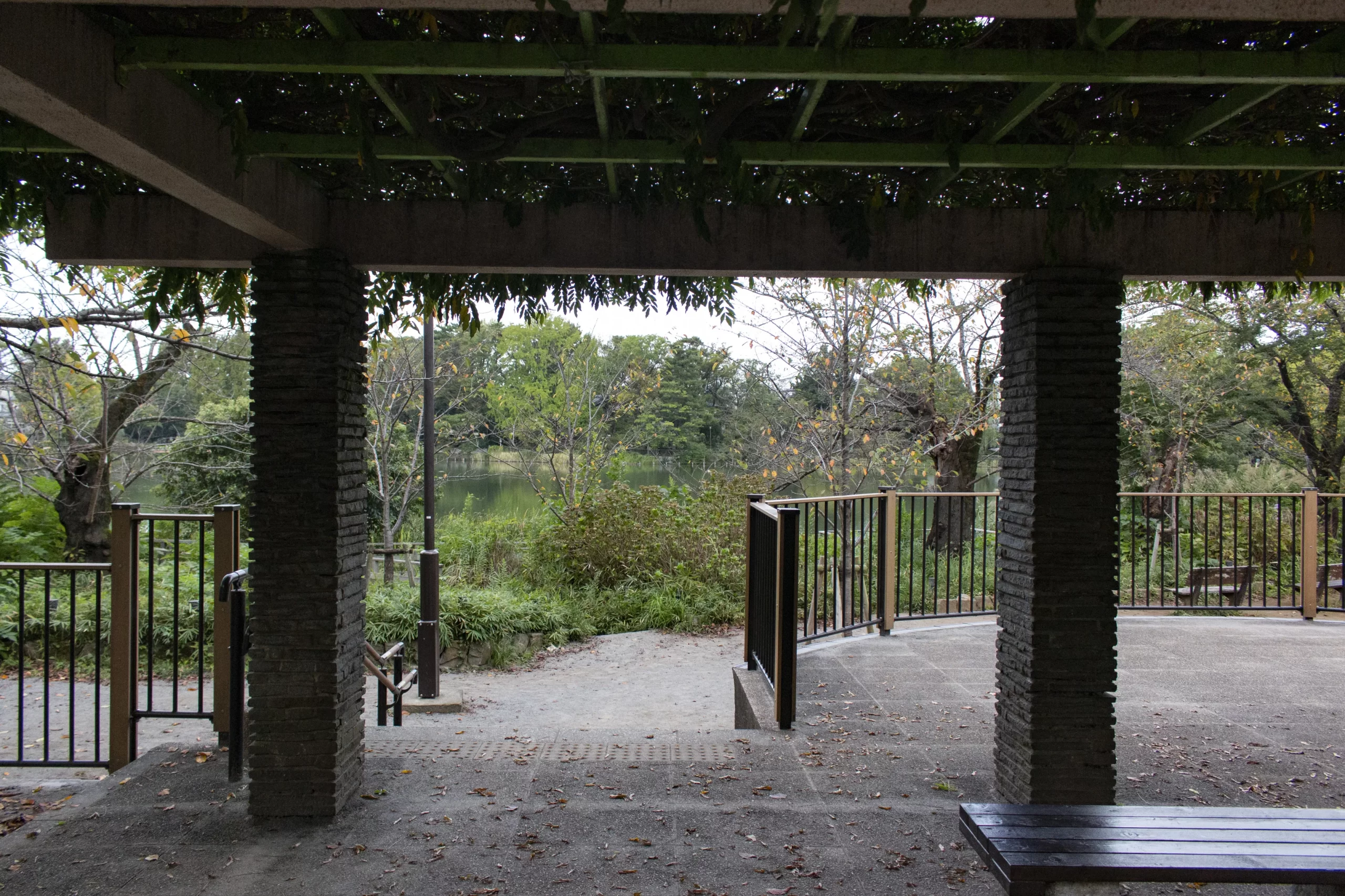 立会川→中延→洗足池