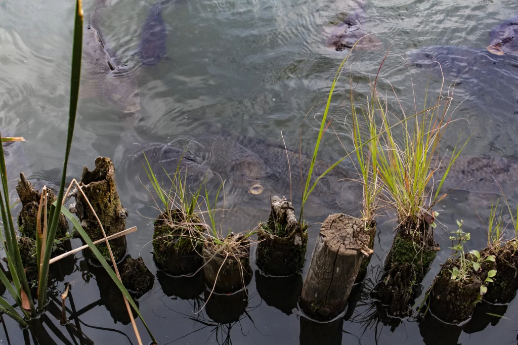 立会川→中延→洗足池