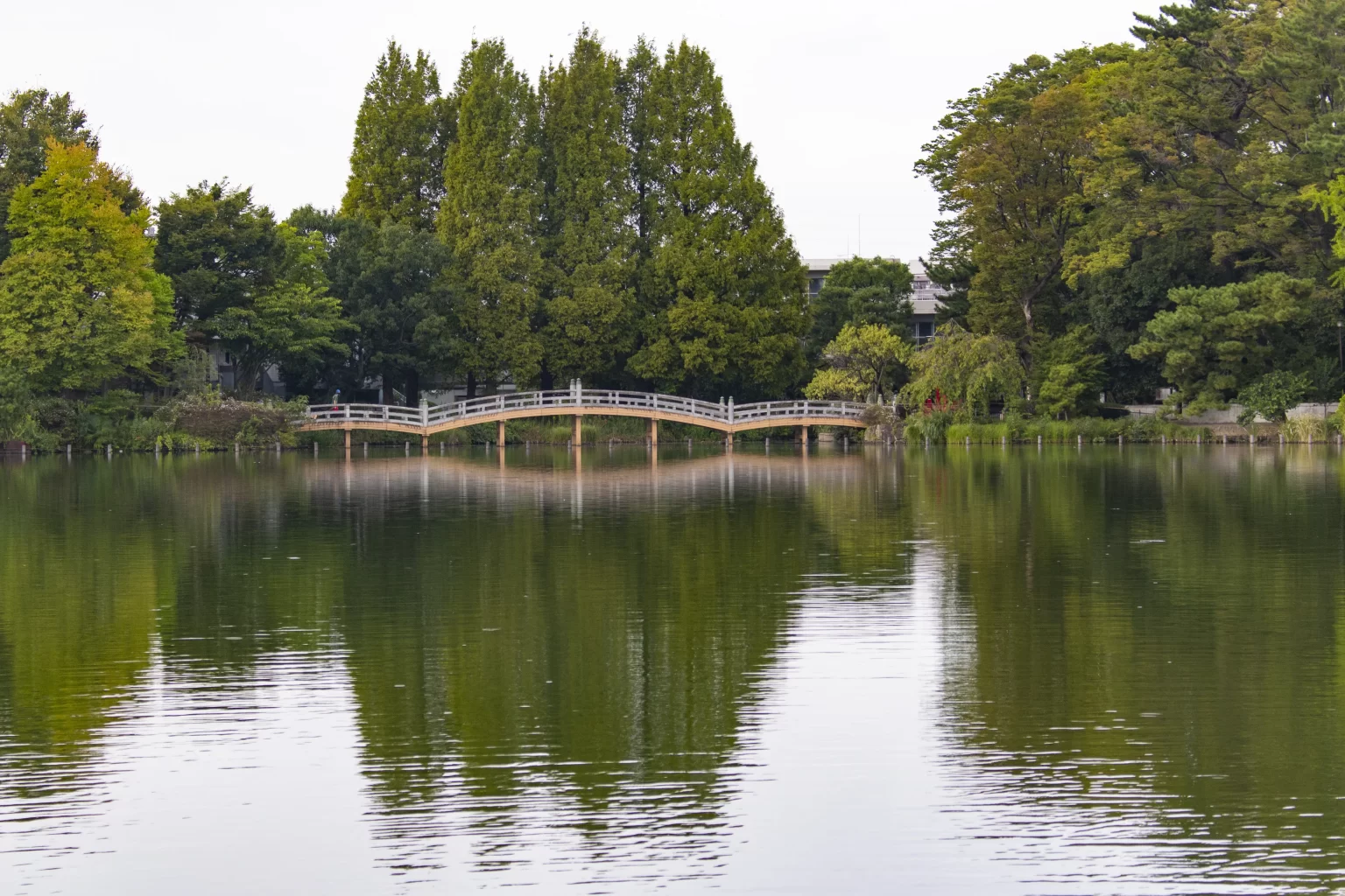 立会川→中延→洗足池