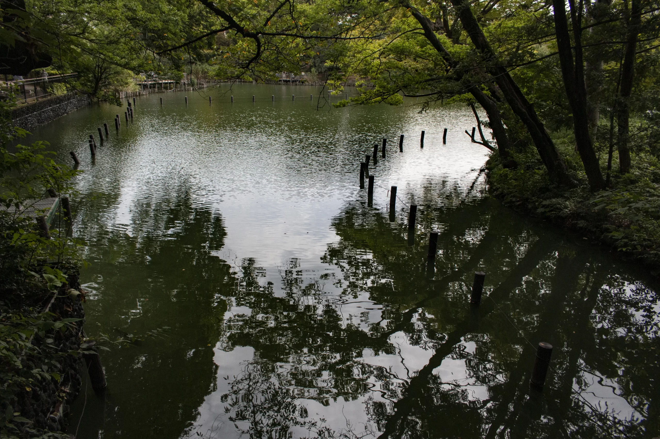 立会川→中延→洗足池 No.16