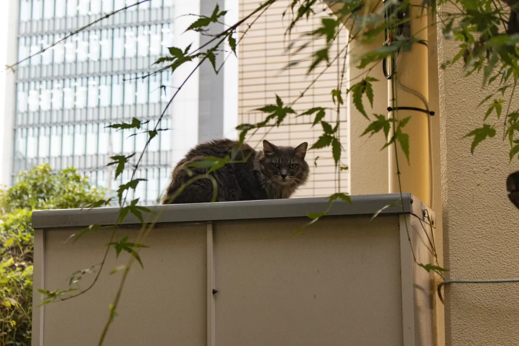 青物横丁→大崎→五反田