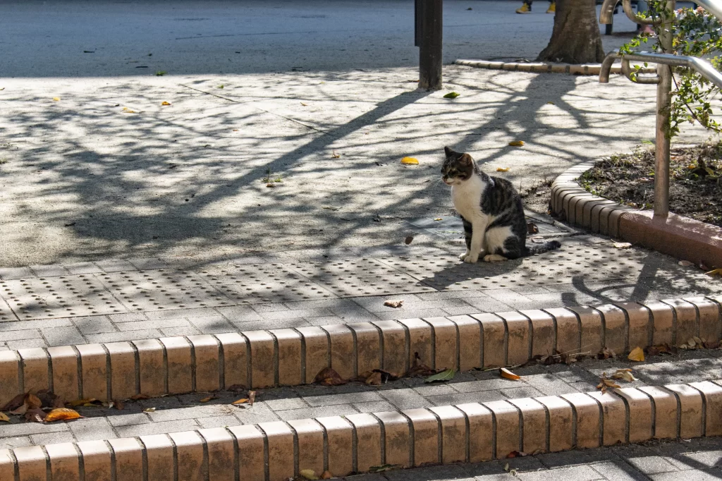 浅草橋→錦糸町→押上→浅草