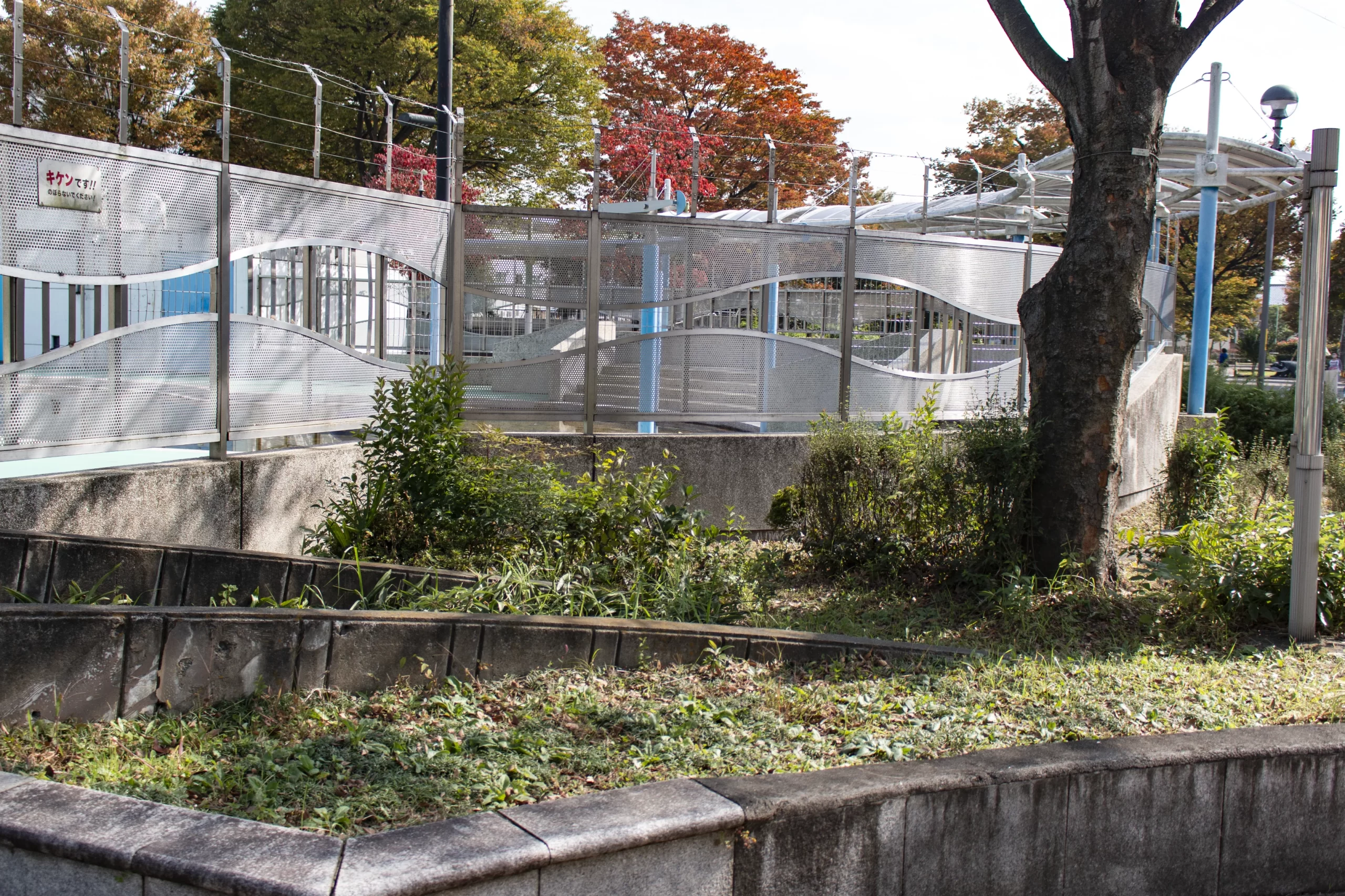 青砥→江戸川→松戸