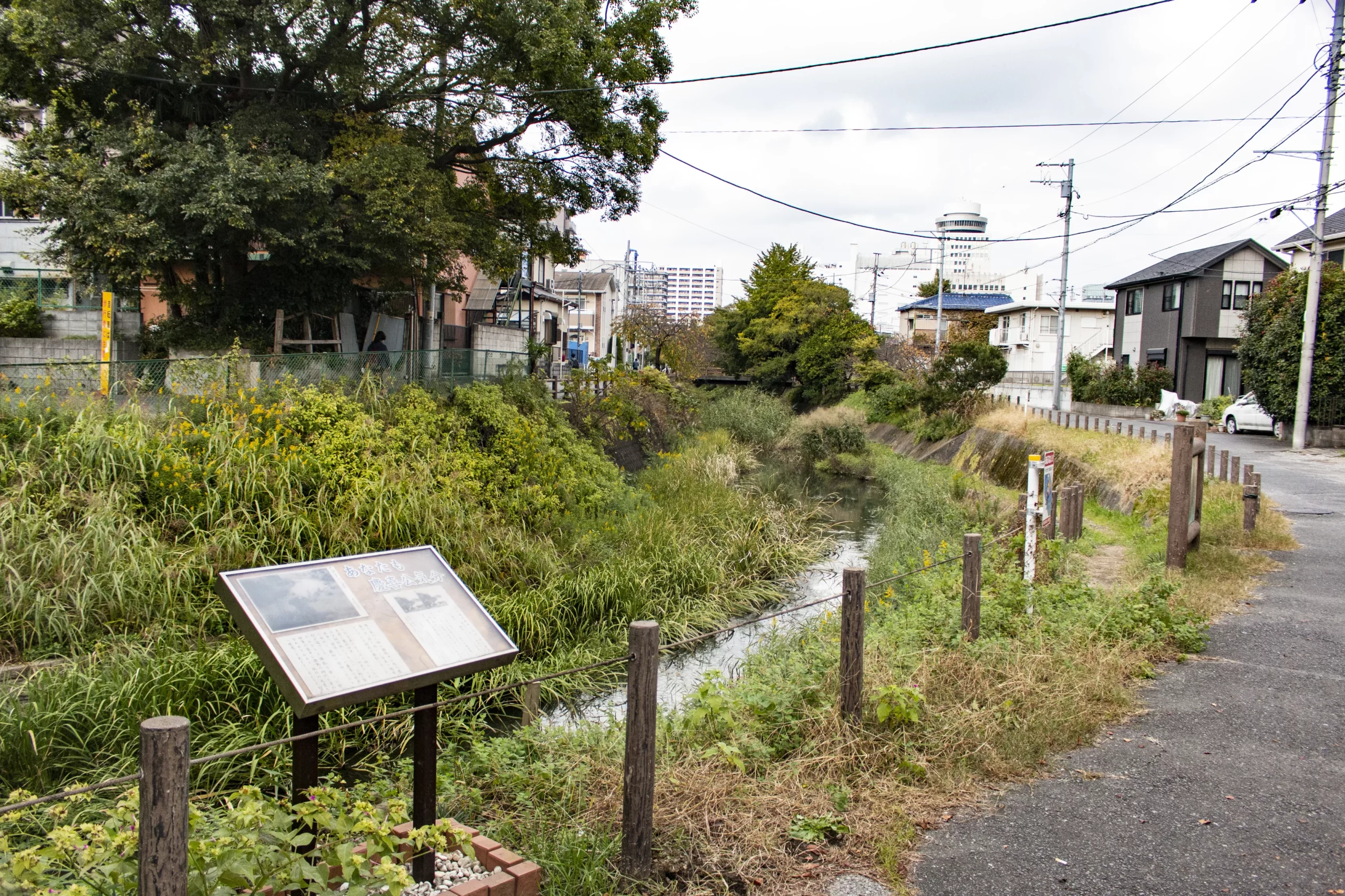青砥→江戸川→松戸 No.30