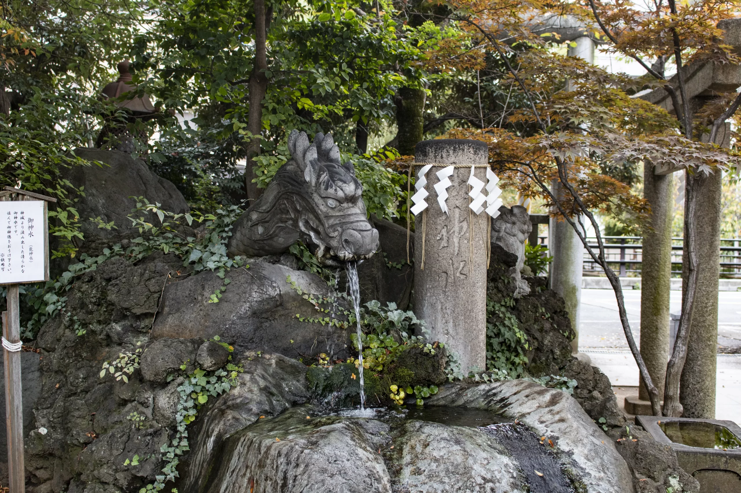 青砥→江戸川→松戸 No.31