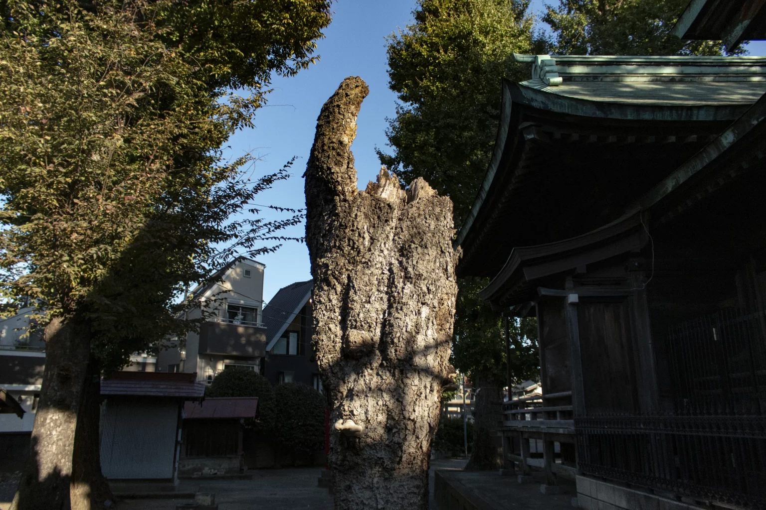 下丸子あたり