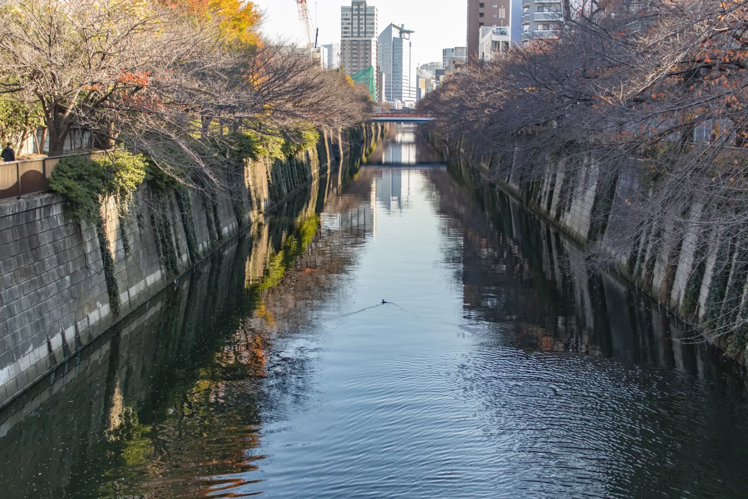 目黒→中目黒公園→目黒川
