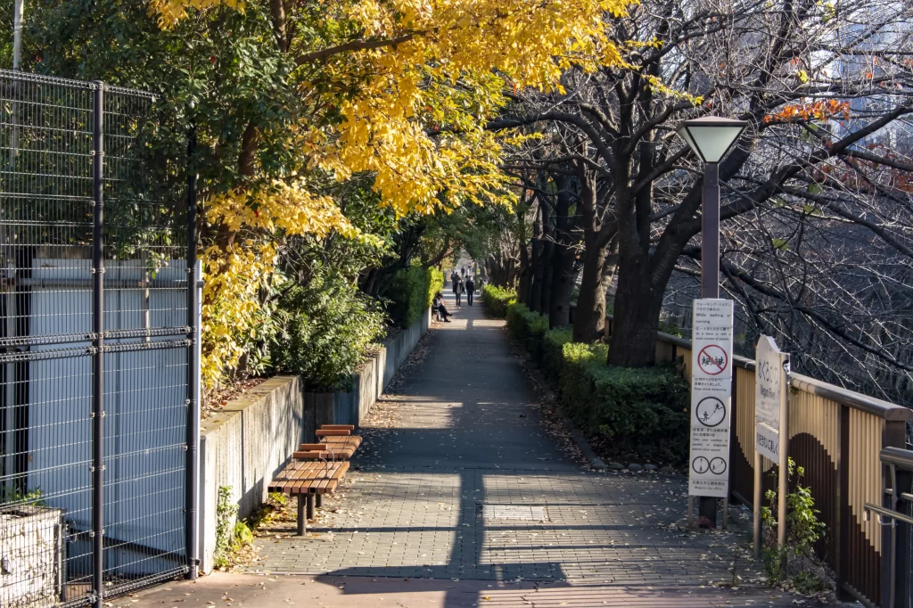 目黒→中目黒公園→目黒川