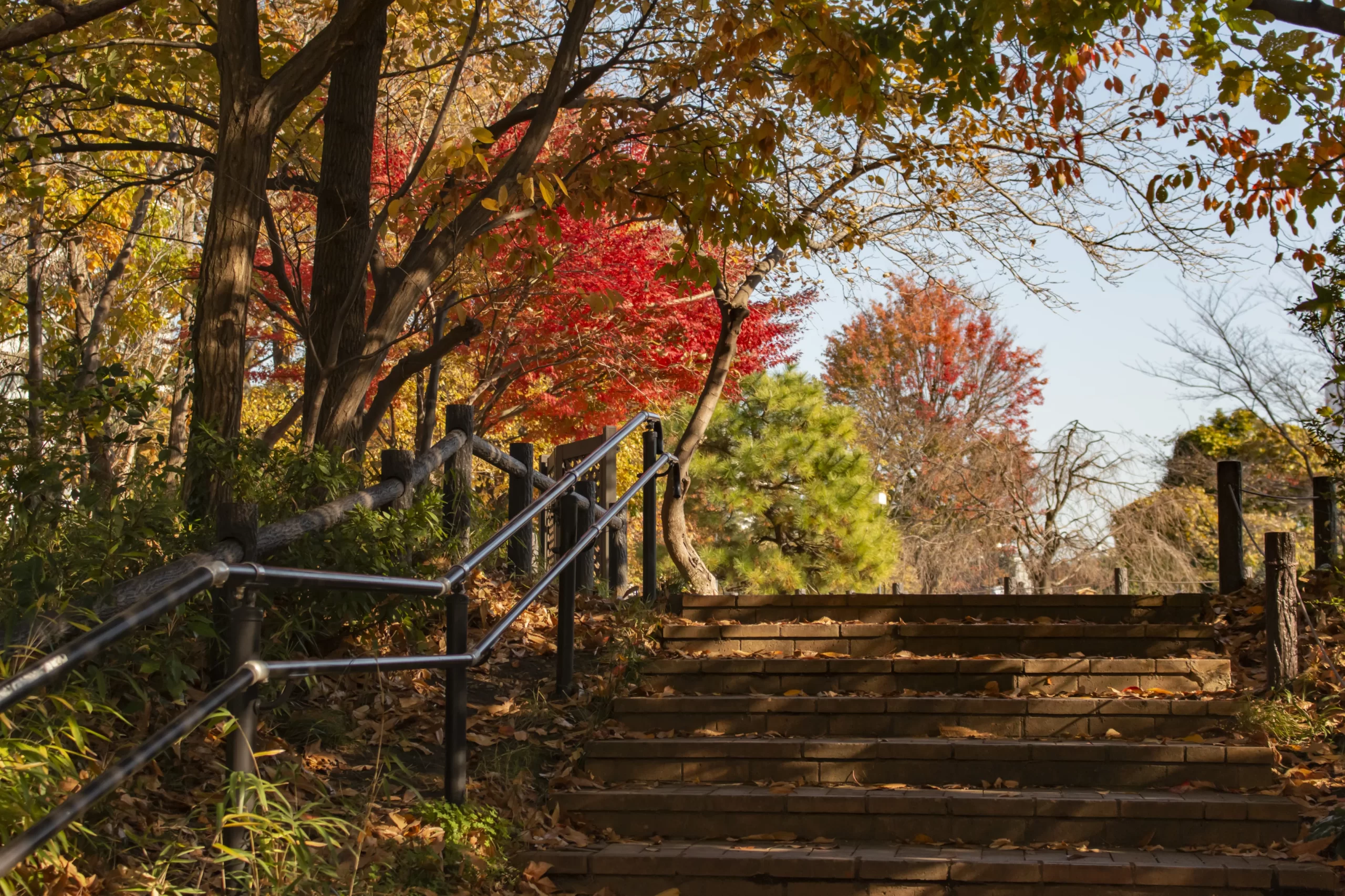 目黒→中目黒公園→目黒川 No.13