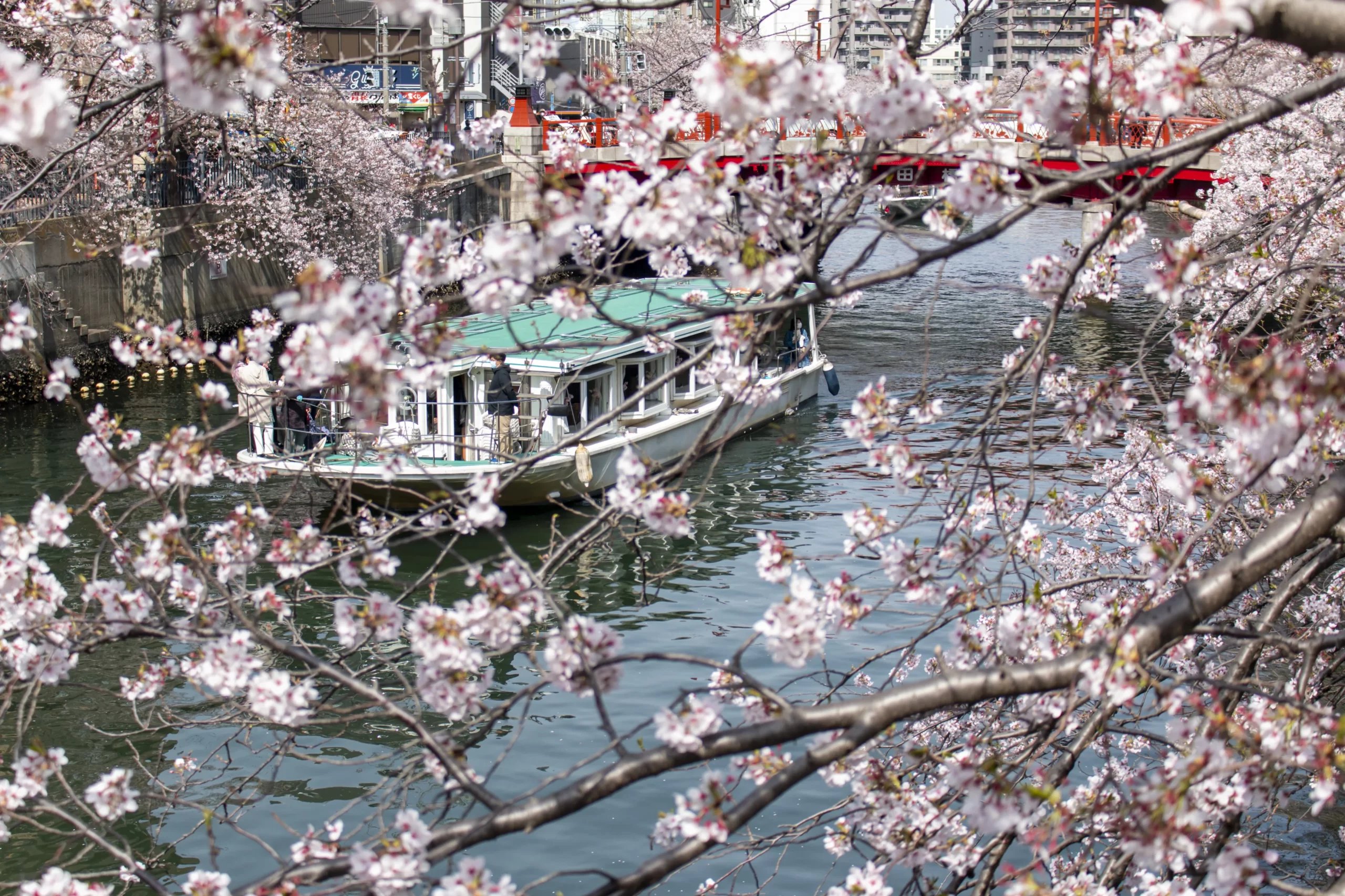 弘明寺→蒔田公園→野毛→赤煉瓦→みなとみらい→横浜