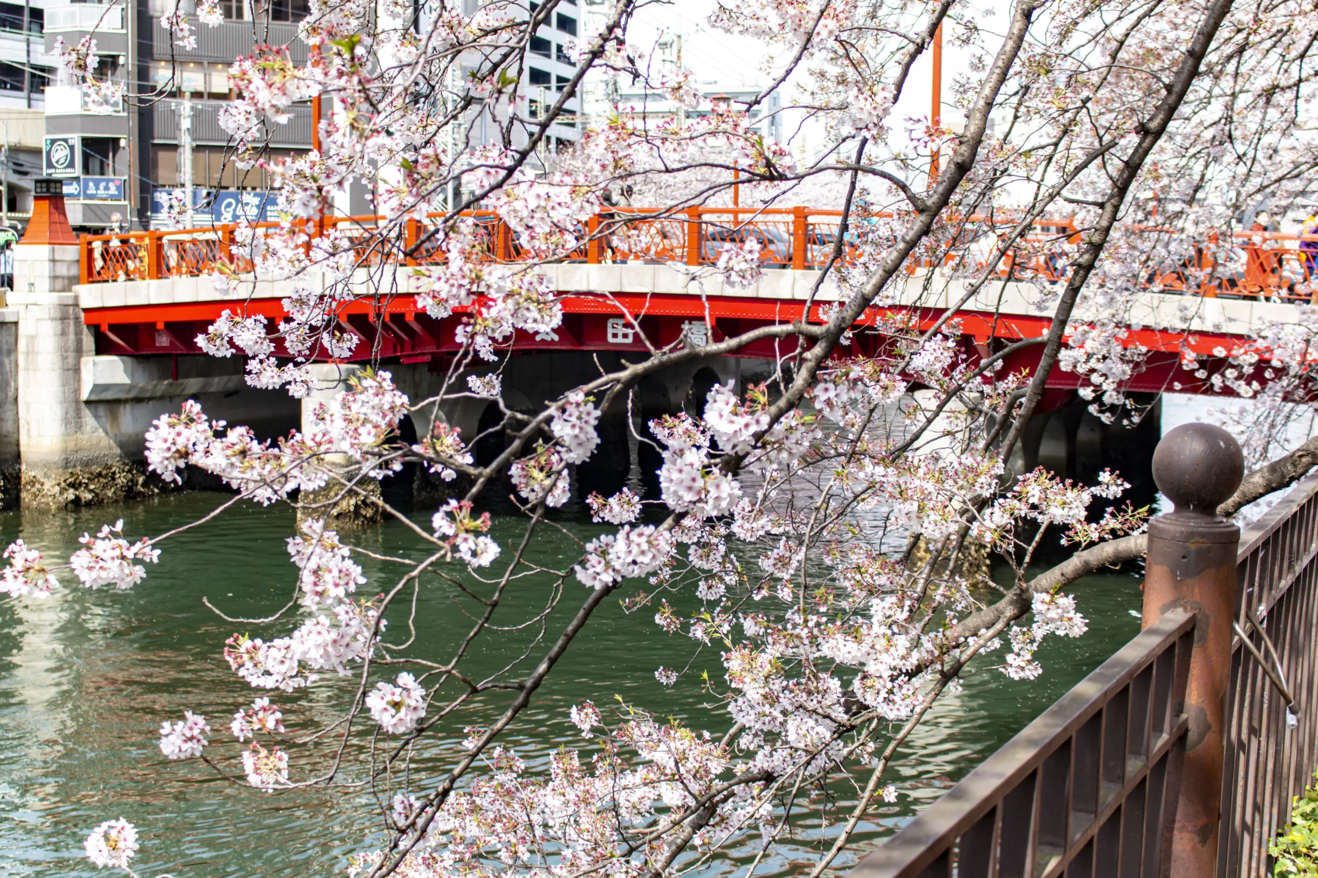 弘明寺→蒔田公園→野毛→赤煉瓦→みなとみらい→横浜 No.17