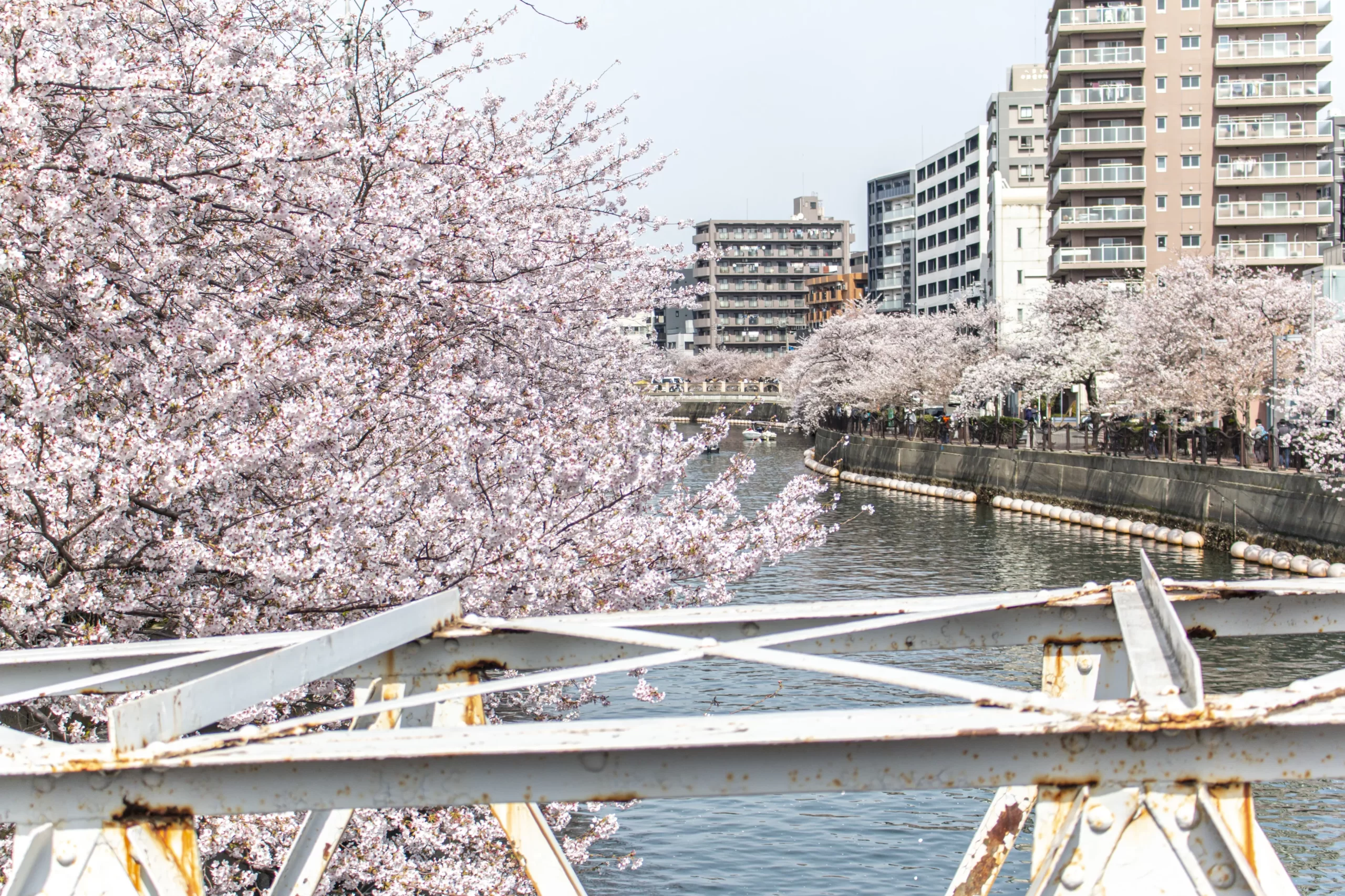 弘明寺→蒔田公園→野毛→赤煉瓦→みなとみらい→横浜 No.18