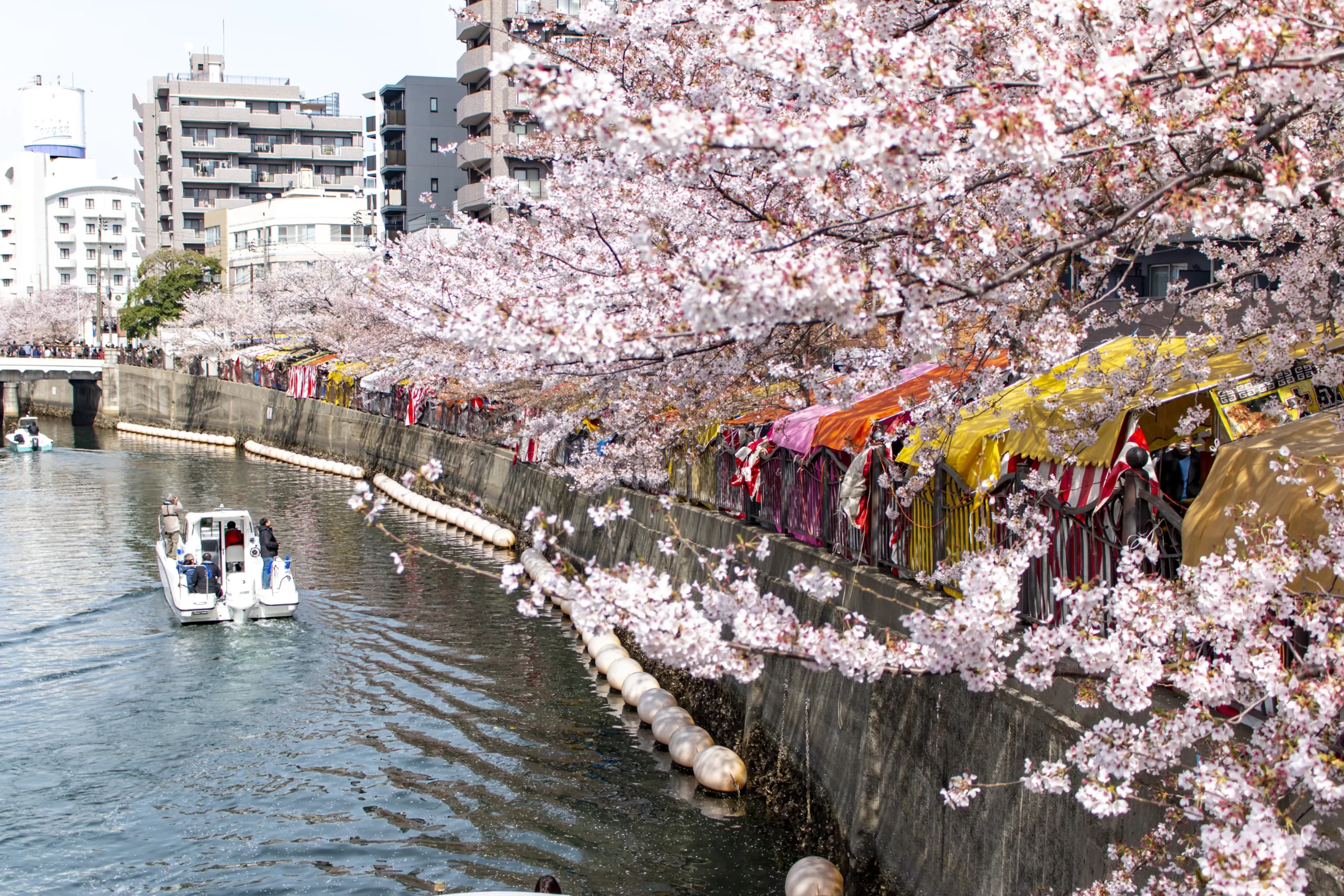 弘明寺→蒔田公園→野毛→赤煉瓦→みなとみらい→横浜 No.19