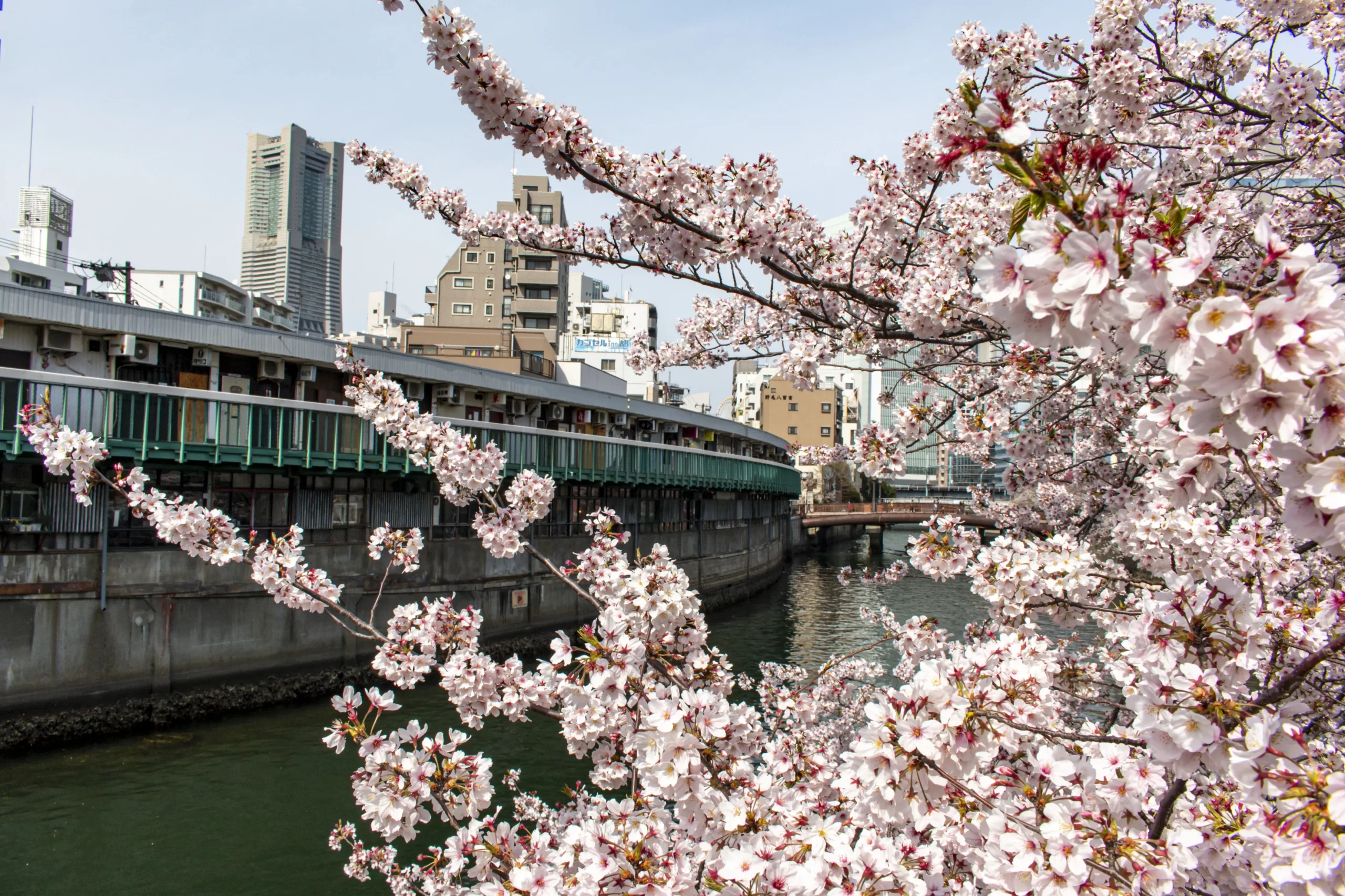 弘明寺→蒔田公園→野毛→赤煉瓦→みなとみらい→横浜