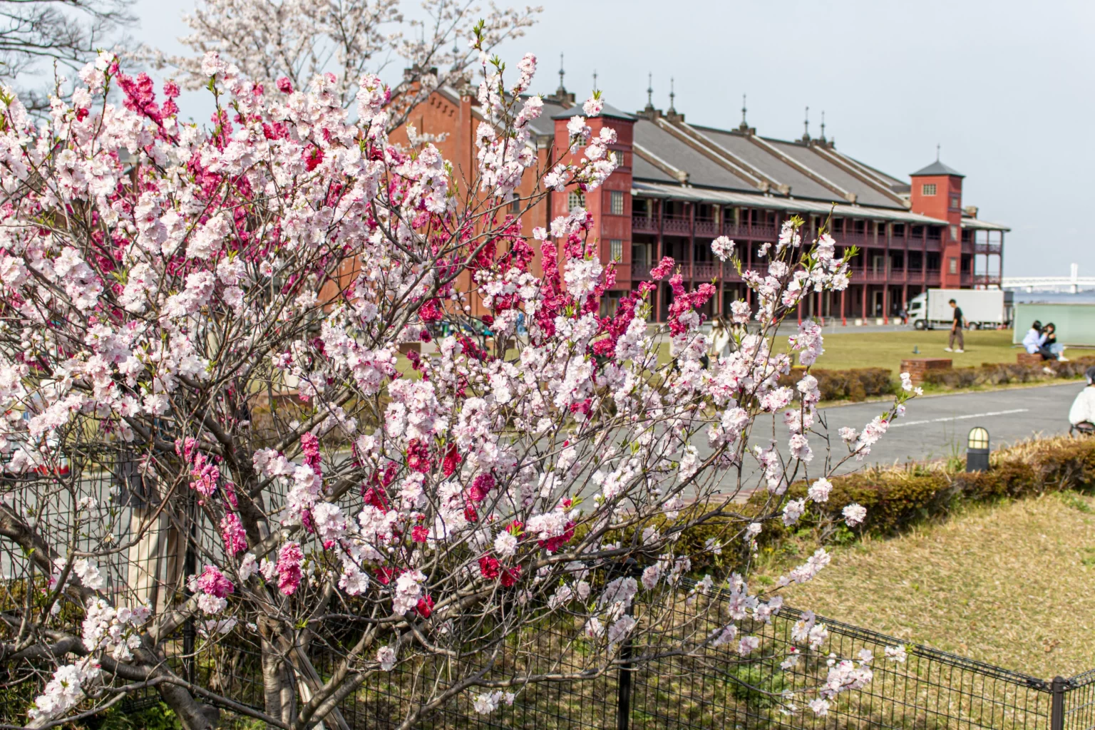 弘明寺→蒔田公園→野毛→赤煉瓦→みなとみらい→横浜